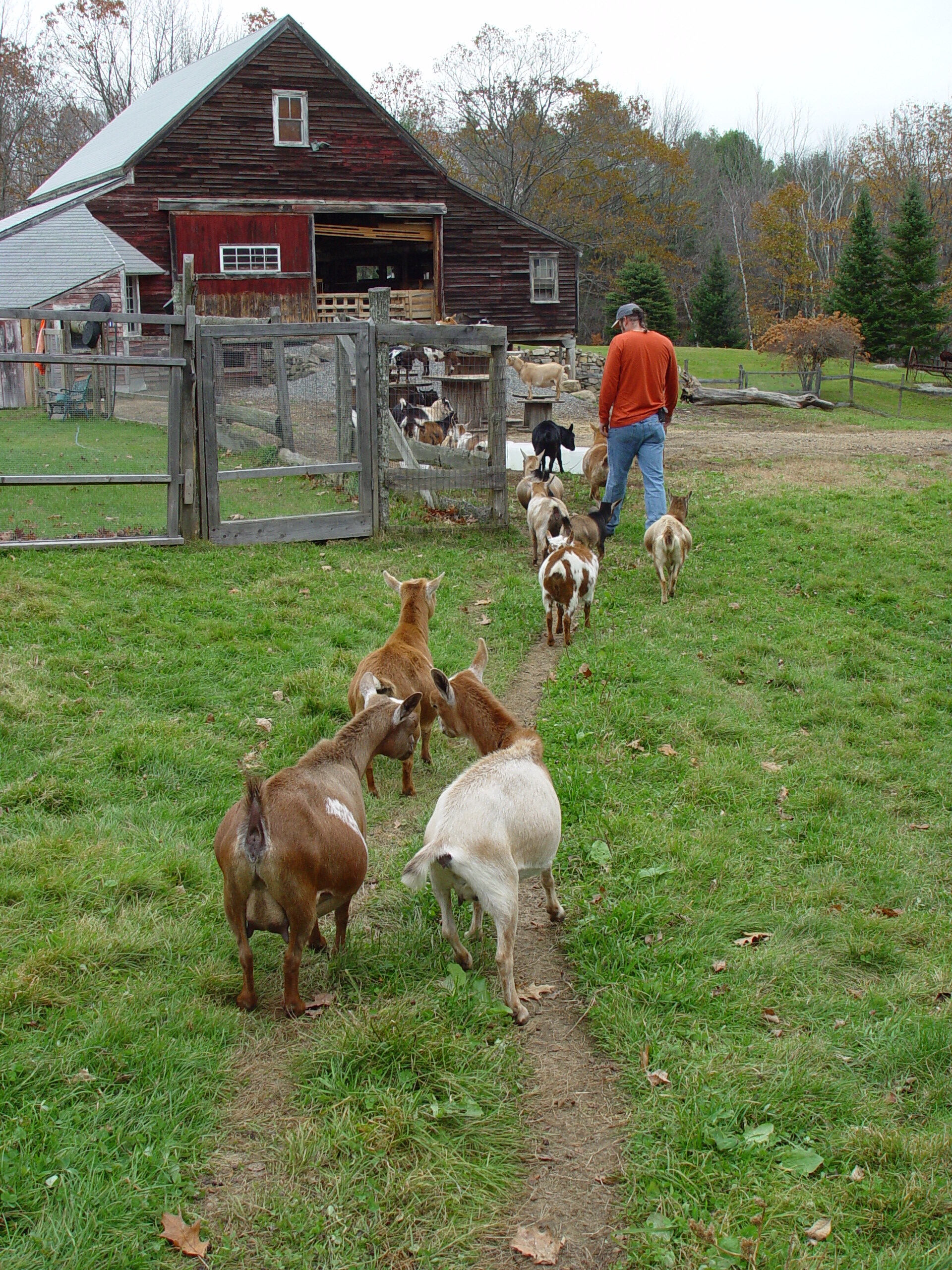 Michi sparring with her daughter; Fawn -October 2006