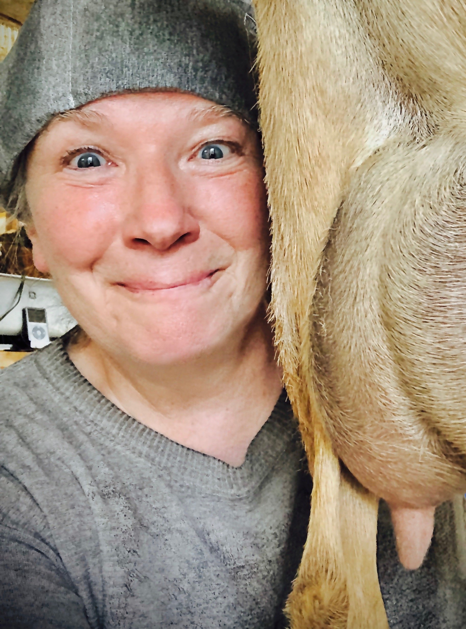 Cheryle milking blondi - first fresh udder - 3 months fresh