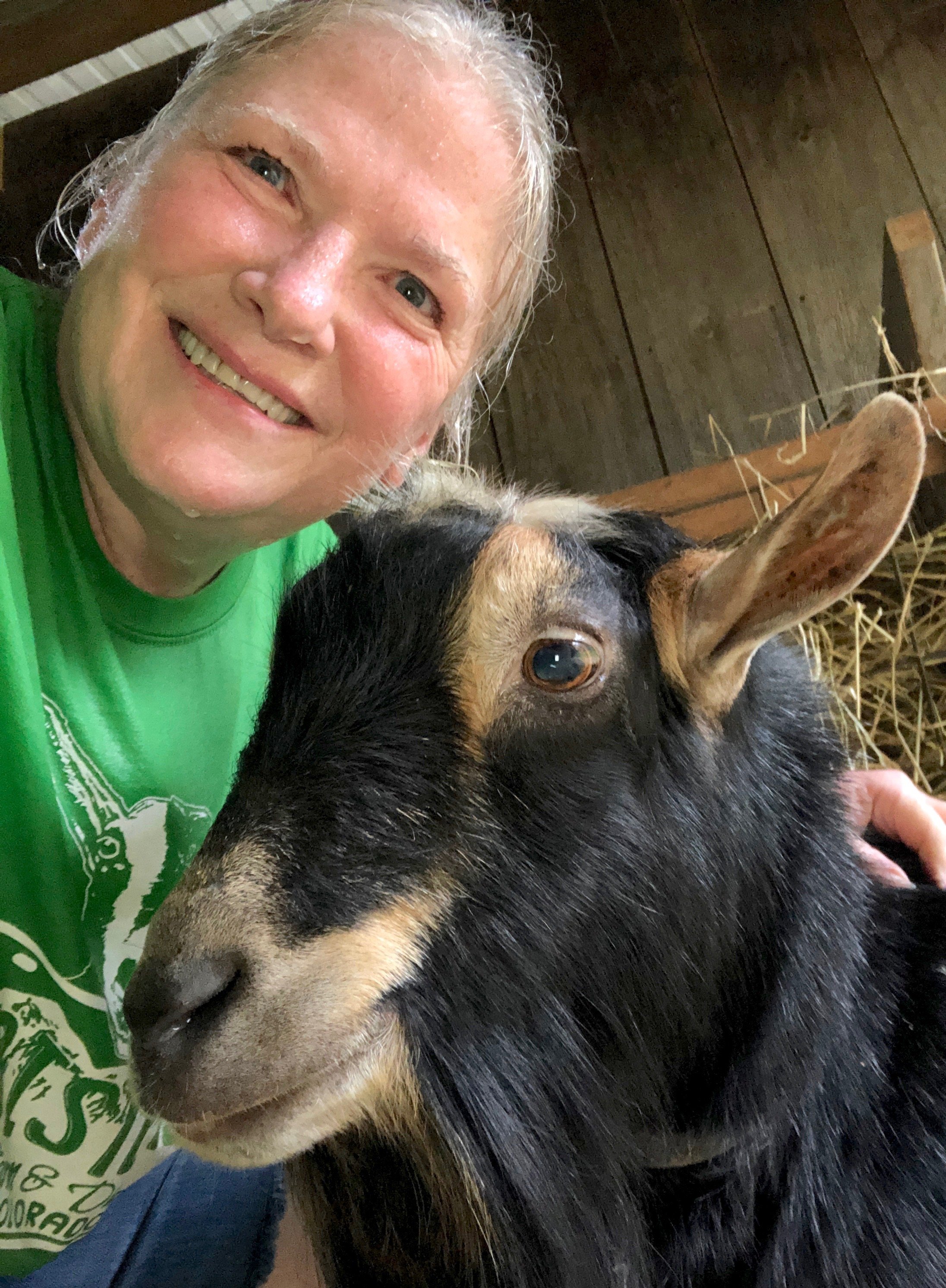 Brave &amp; Cheryle during a rainstorm - July 2022