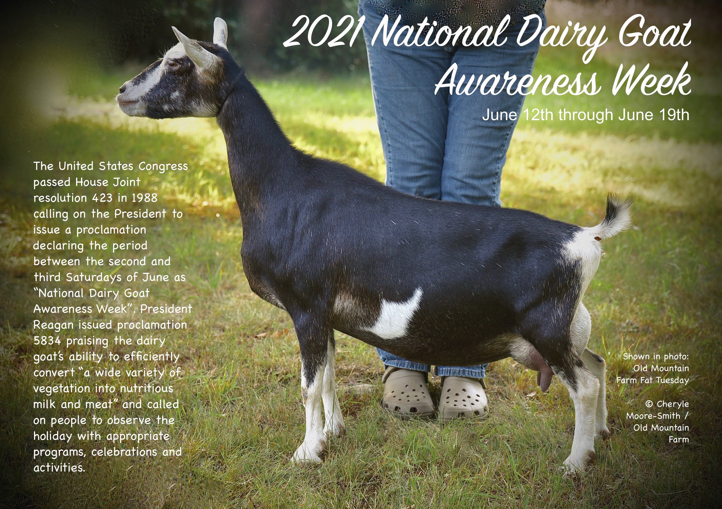 2021 National Dairy Goat Awareness Week .jpg
