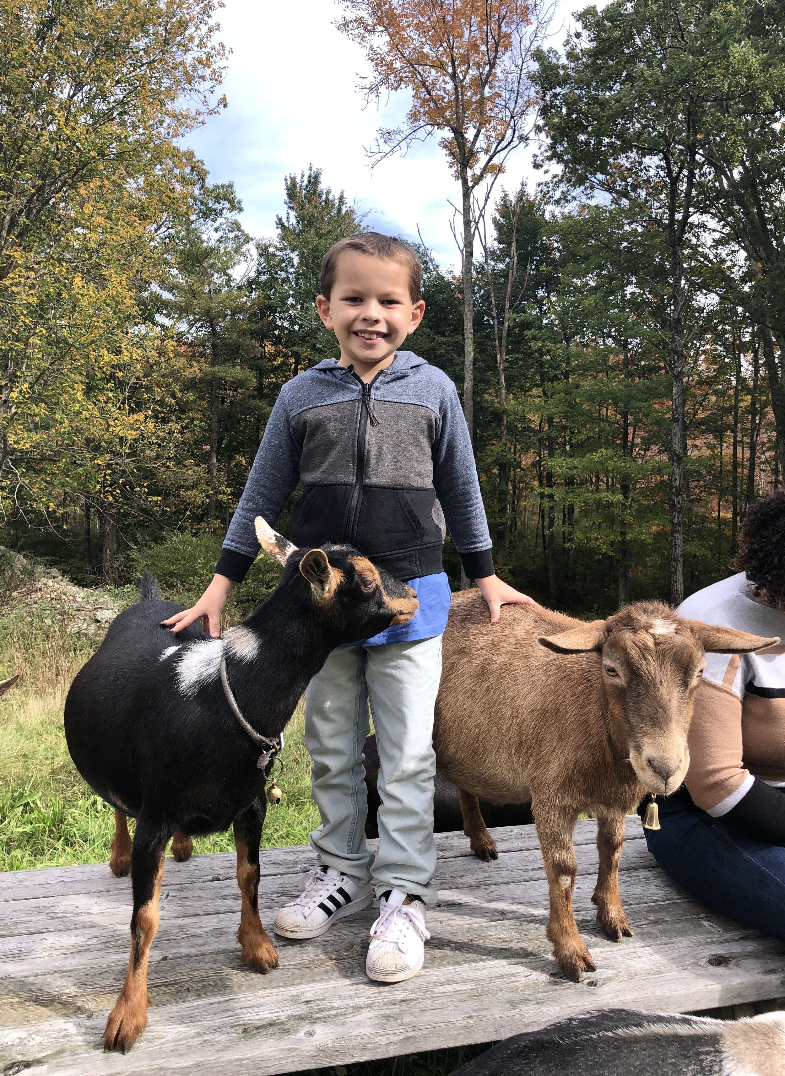 My nephew; Matty with Ersa and Quinoa - October 2021