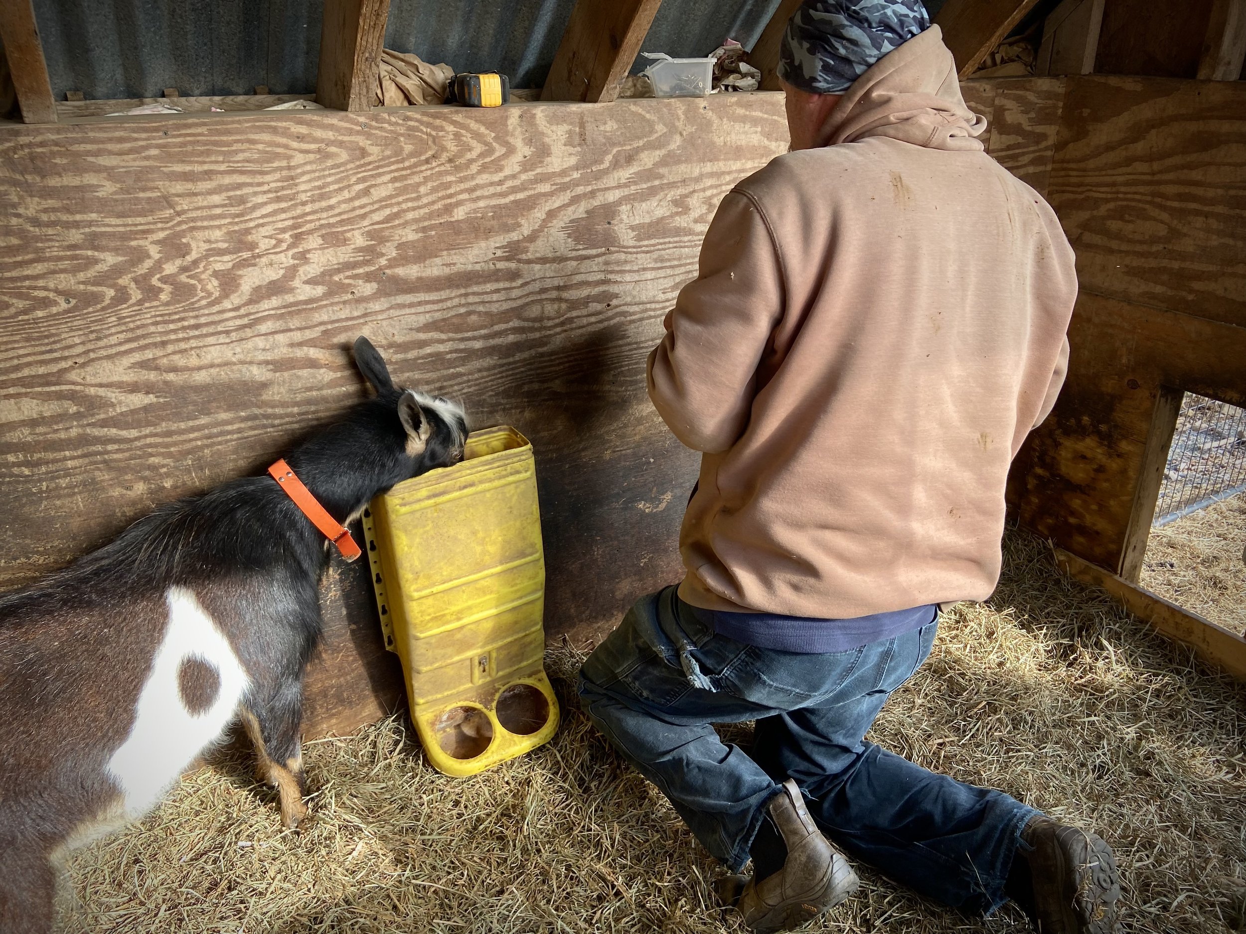 Helping hang mineral feeders - May 2024