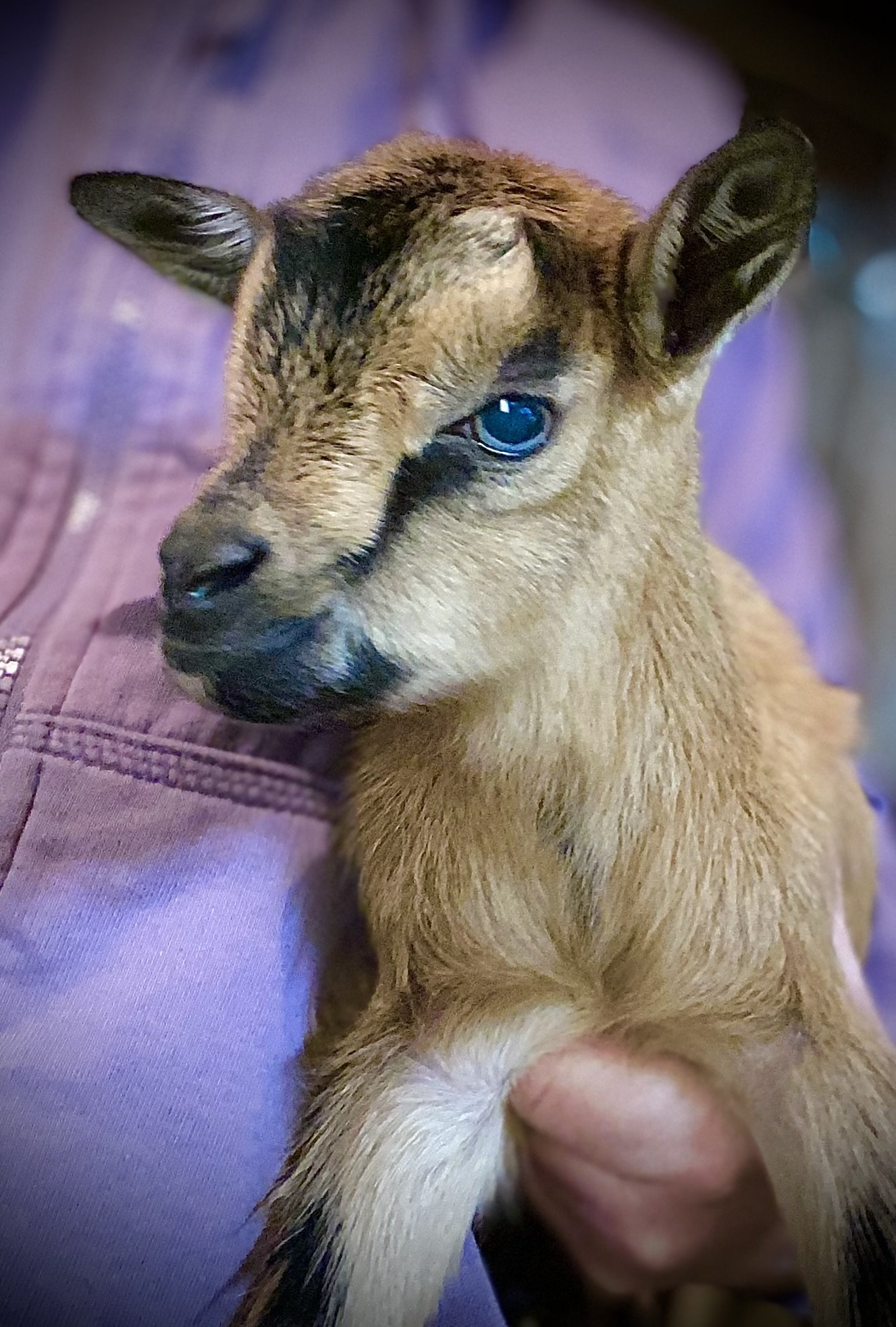 2 days old - 5-19-2025