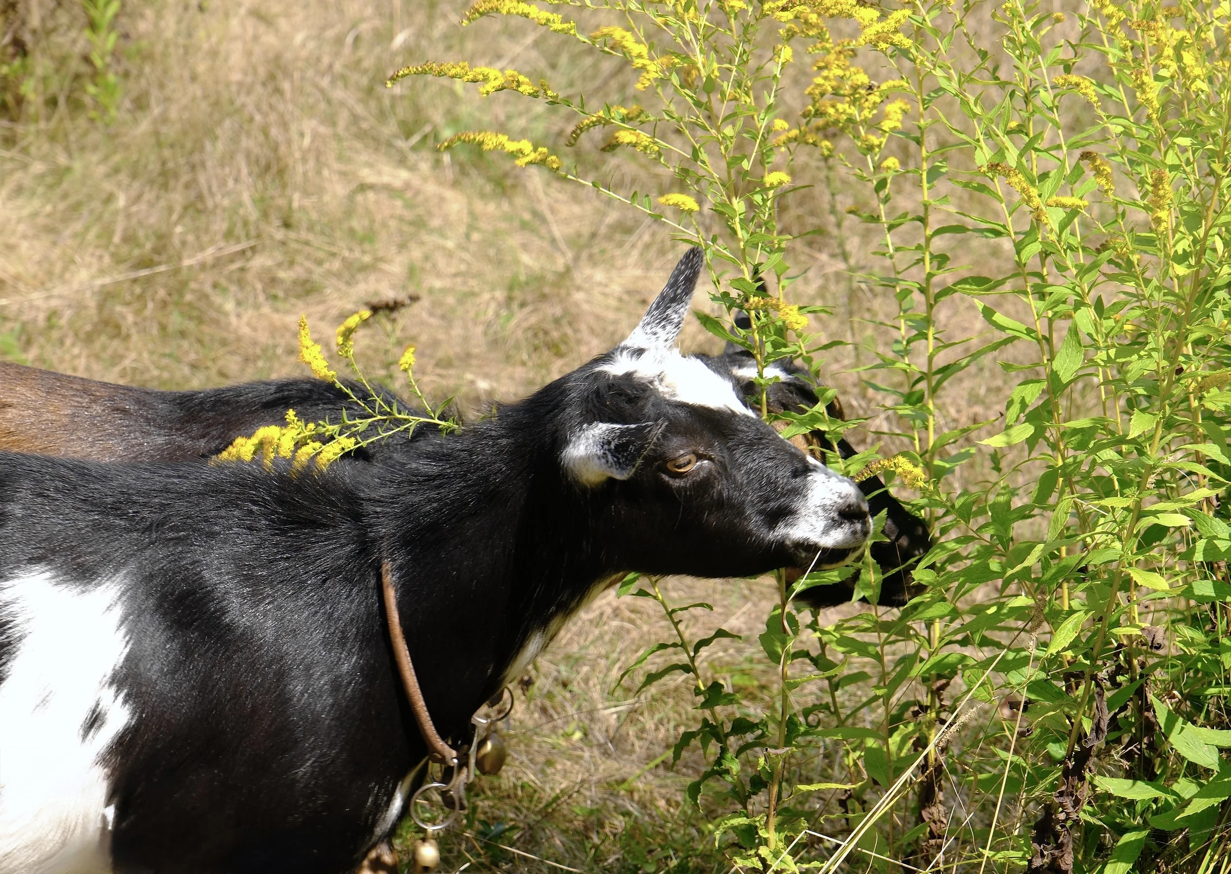 September 14th, 2025