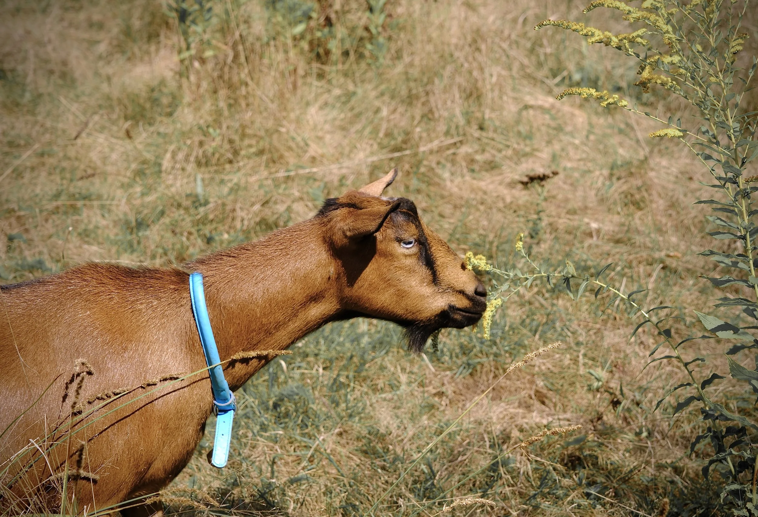 September 14th, 2025