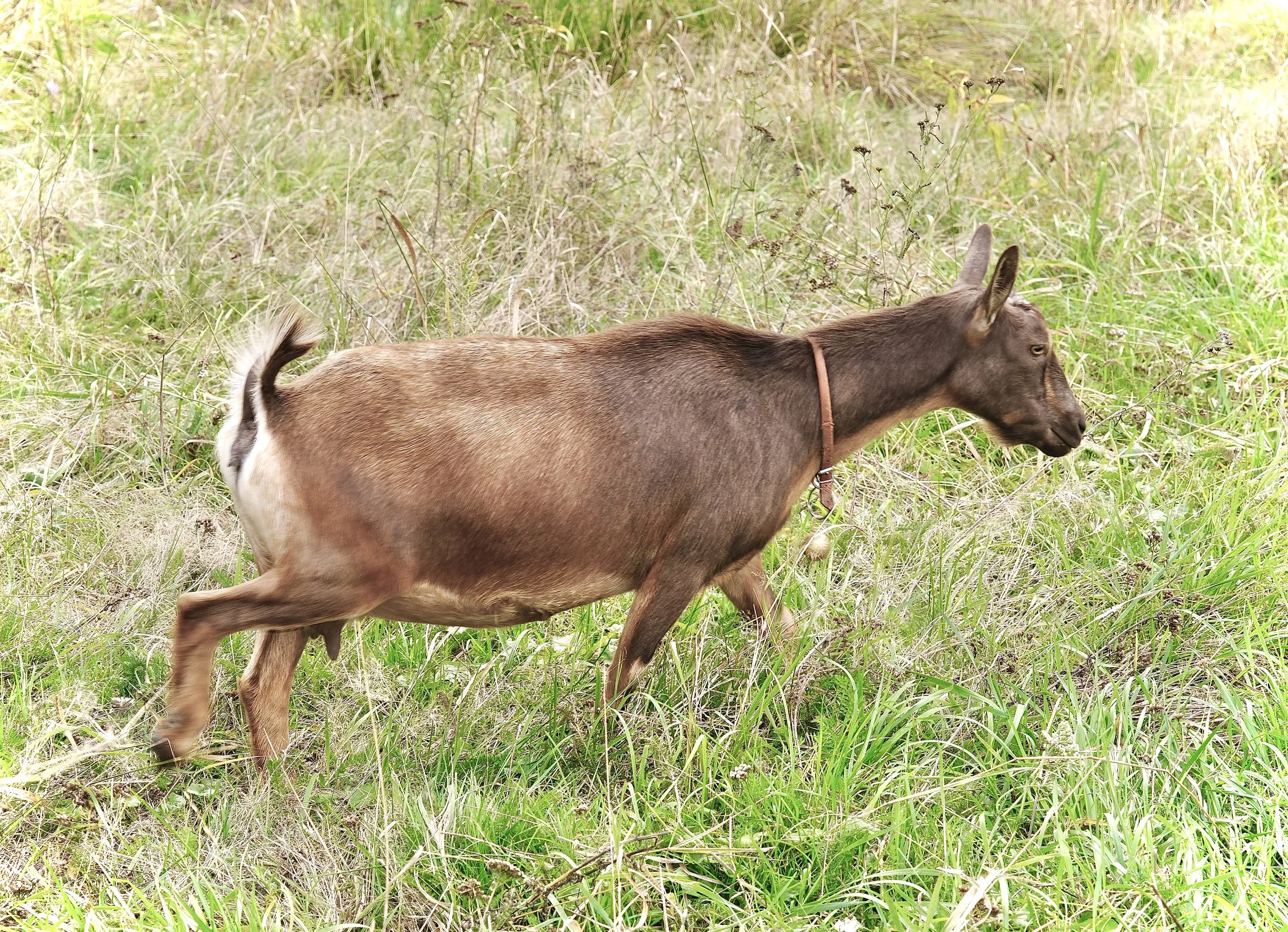 September 14th, 2025