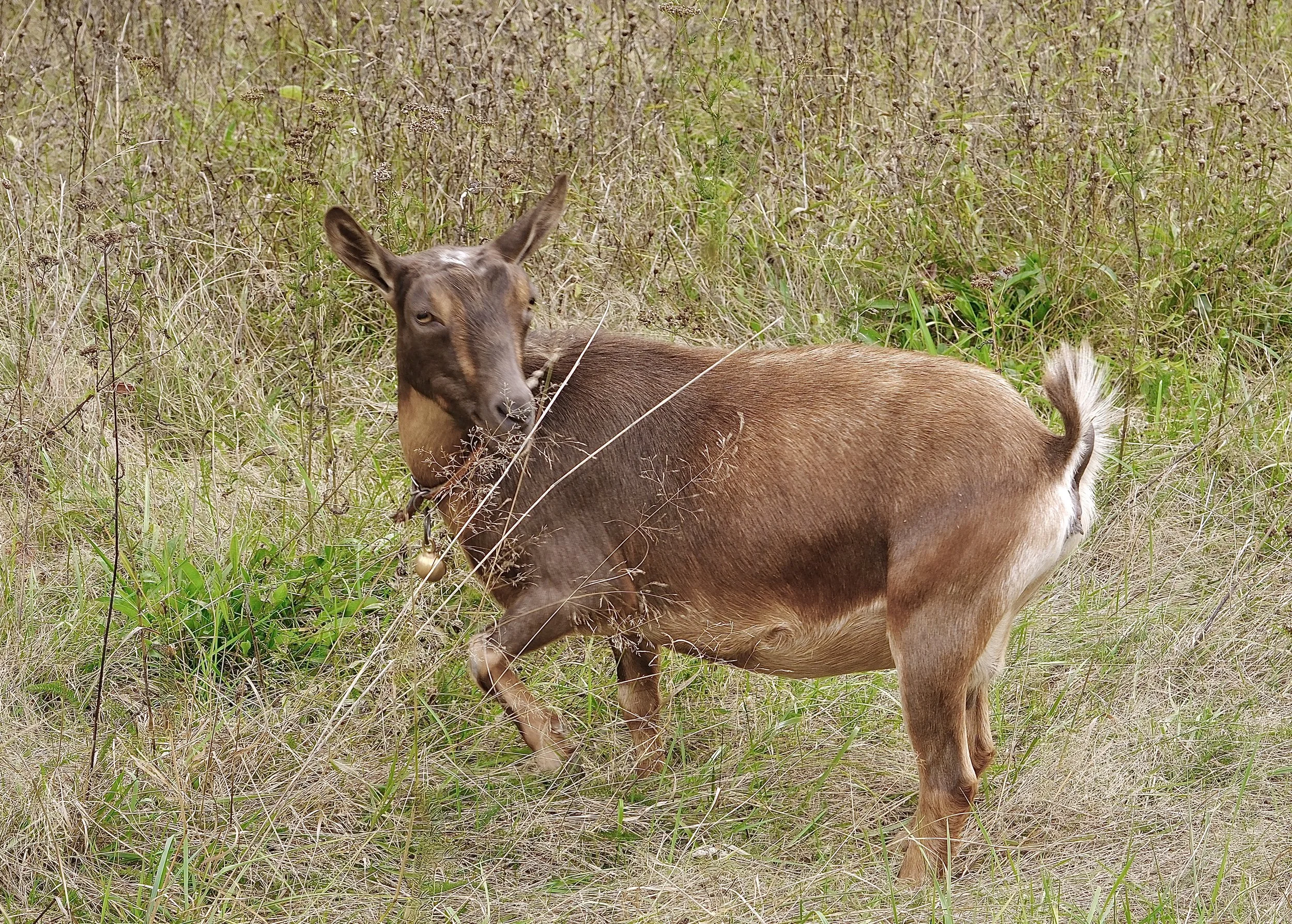 September 14th, 2025