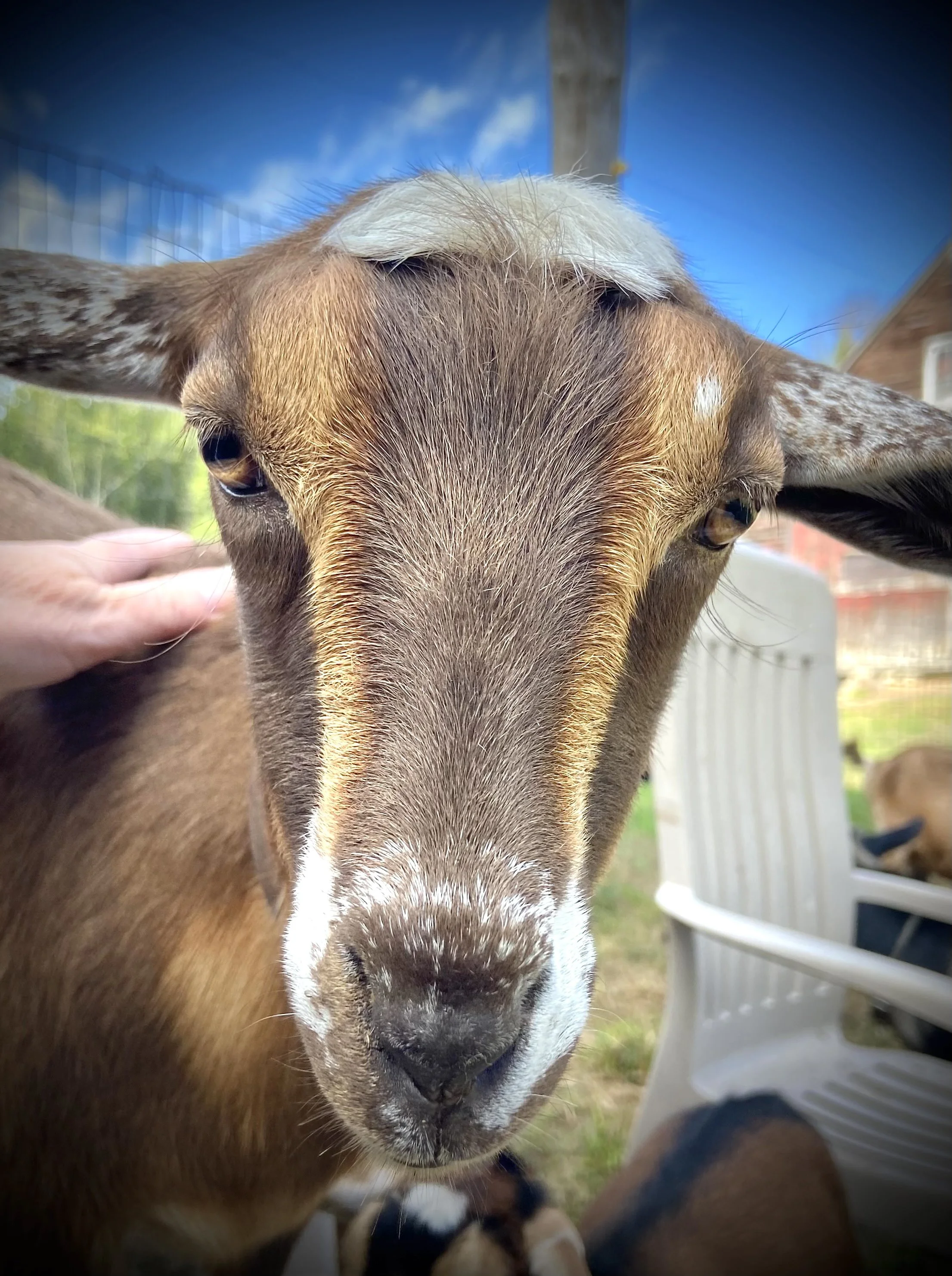 September 15th, 2025