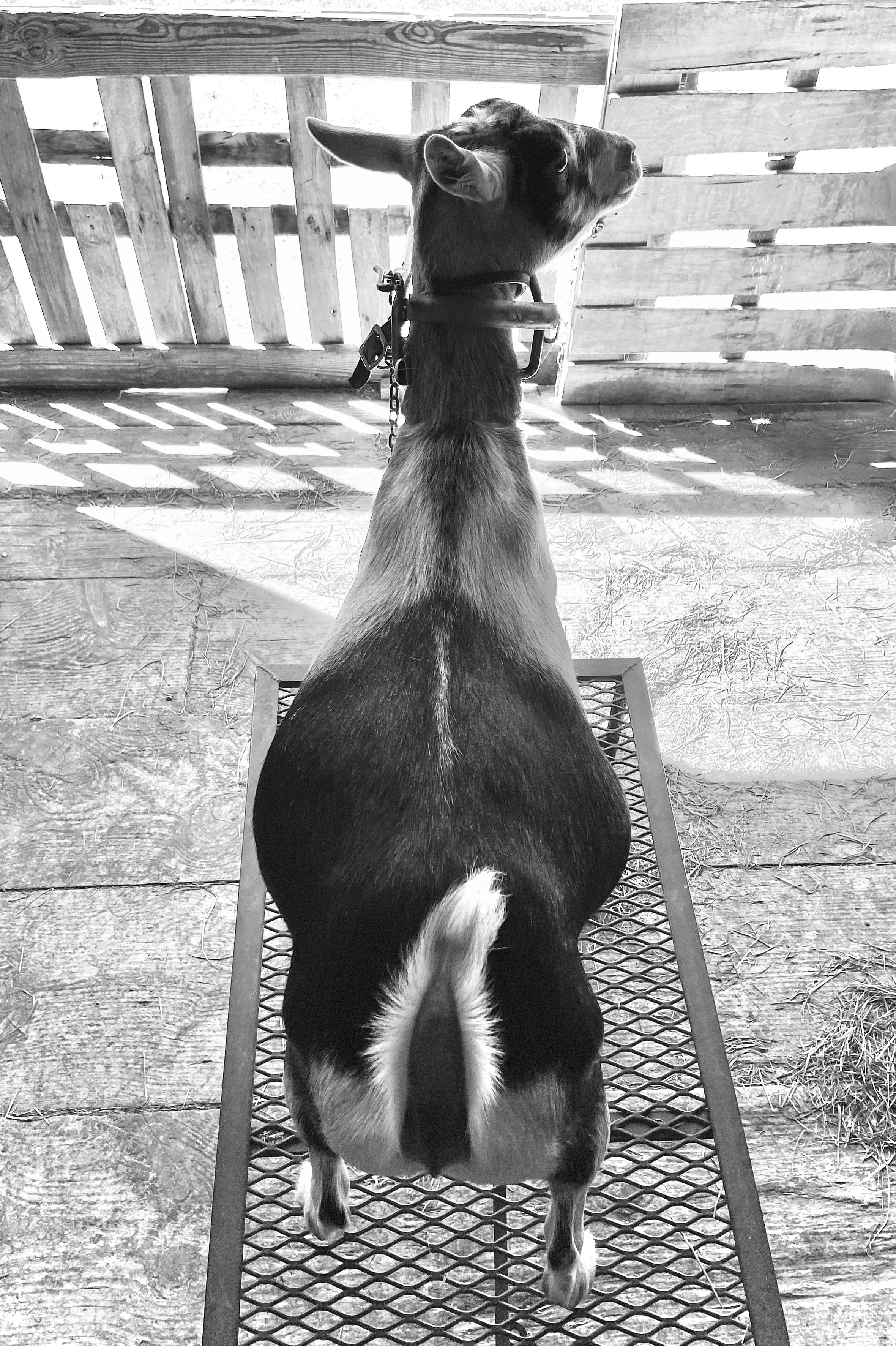 September 19th, 2025