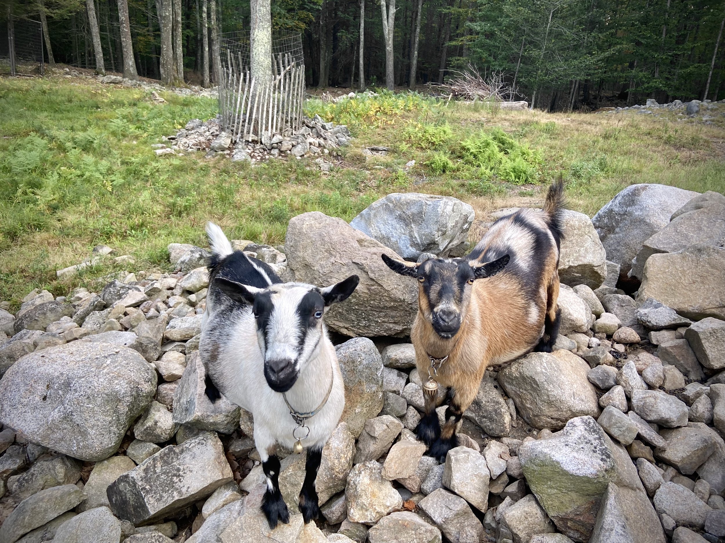 August 27th, 2025 - hanging out on the rocks w/ BlkTyAffair