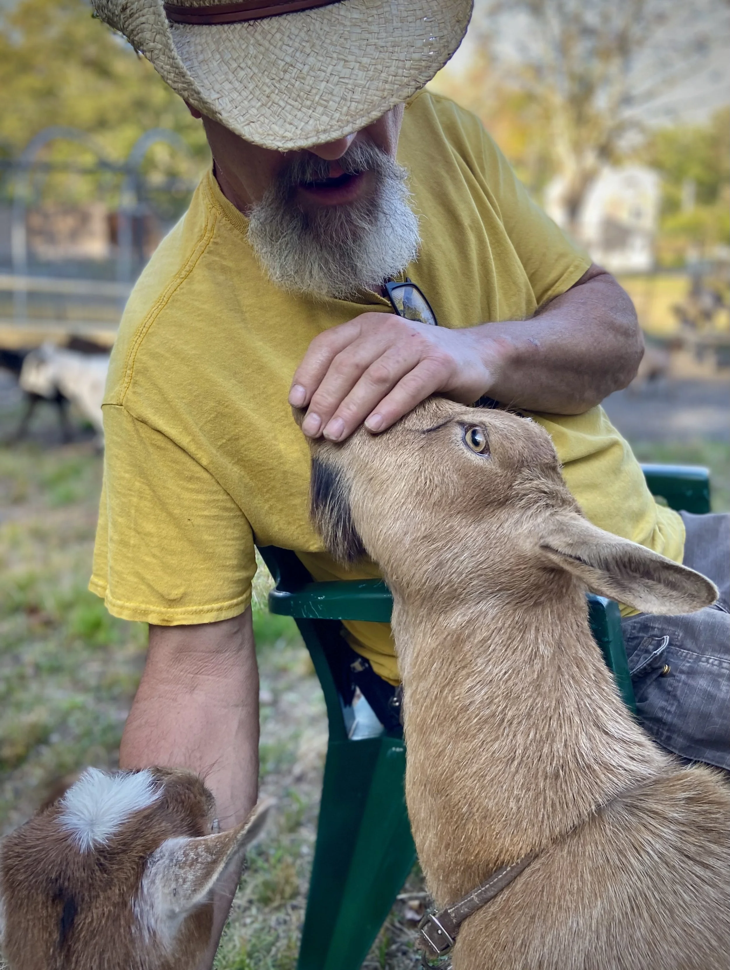 Wyl & Blondi - 10-4-2025