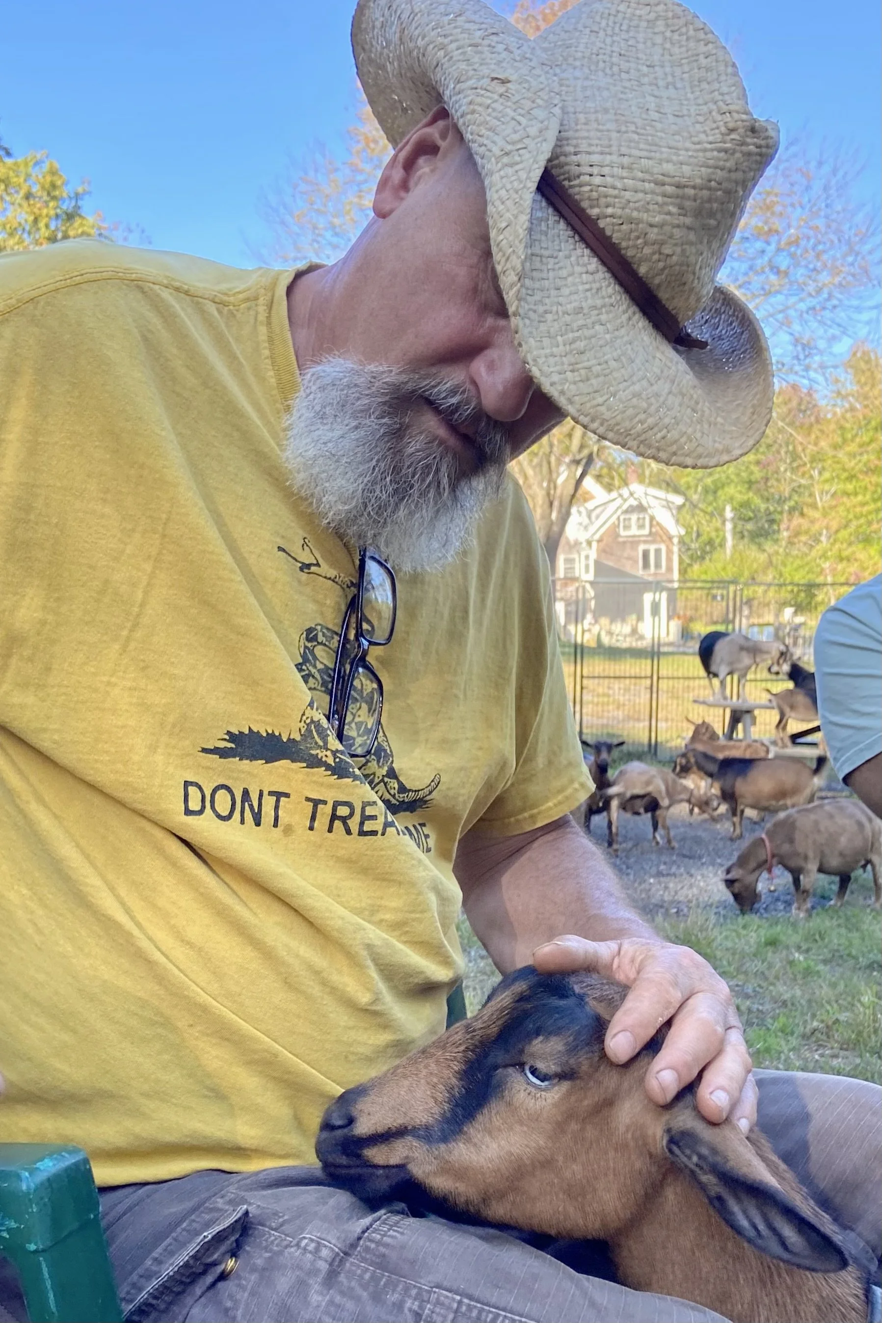 Wyl &amp; Hooty - 10-2-2025