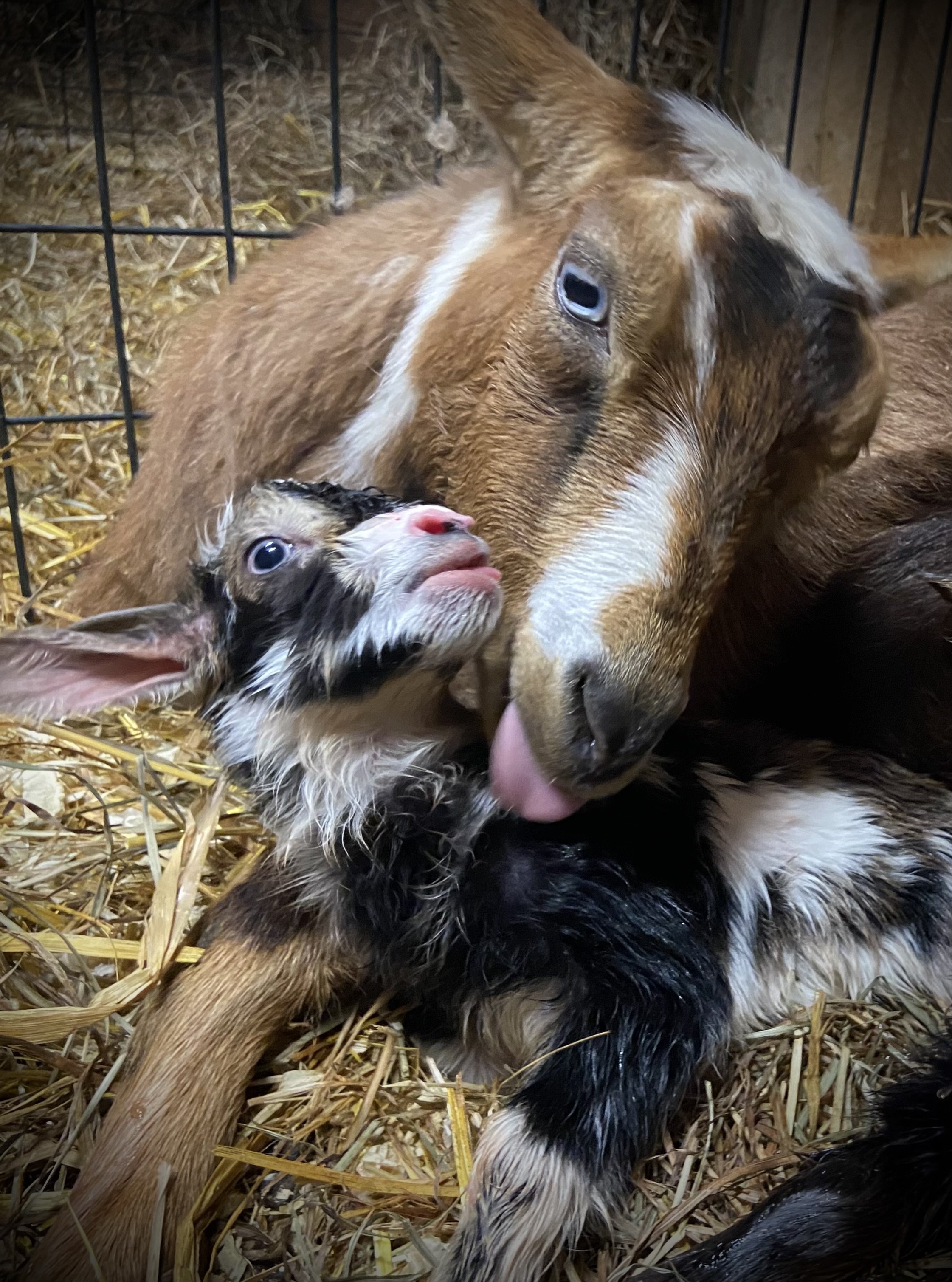 March 7th - During her first ever labor