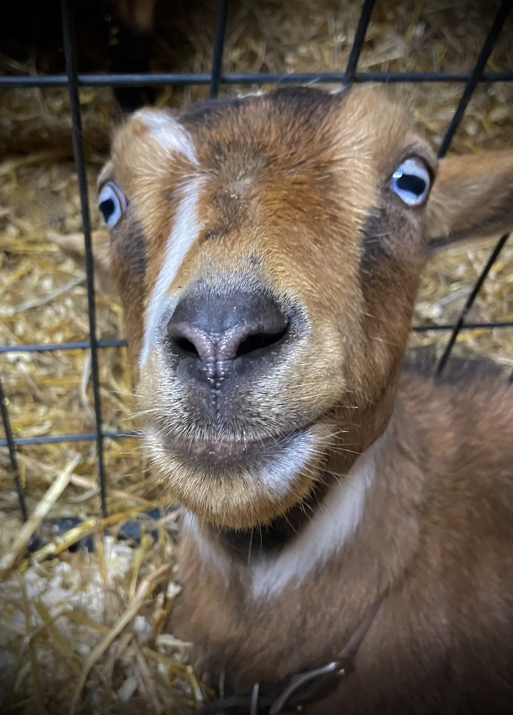 March 7th - During her first ever labor