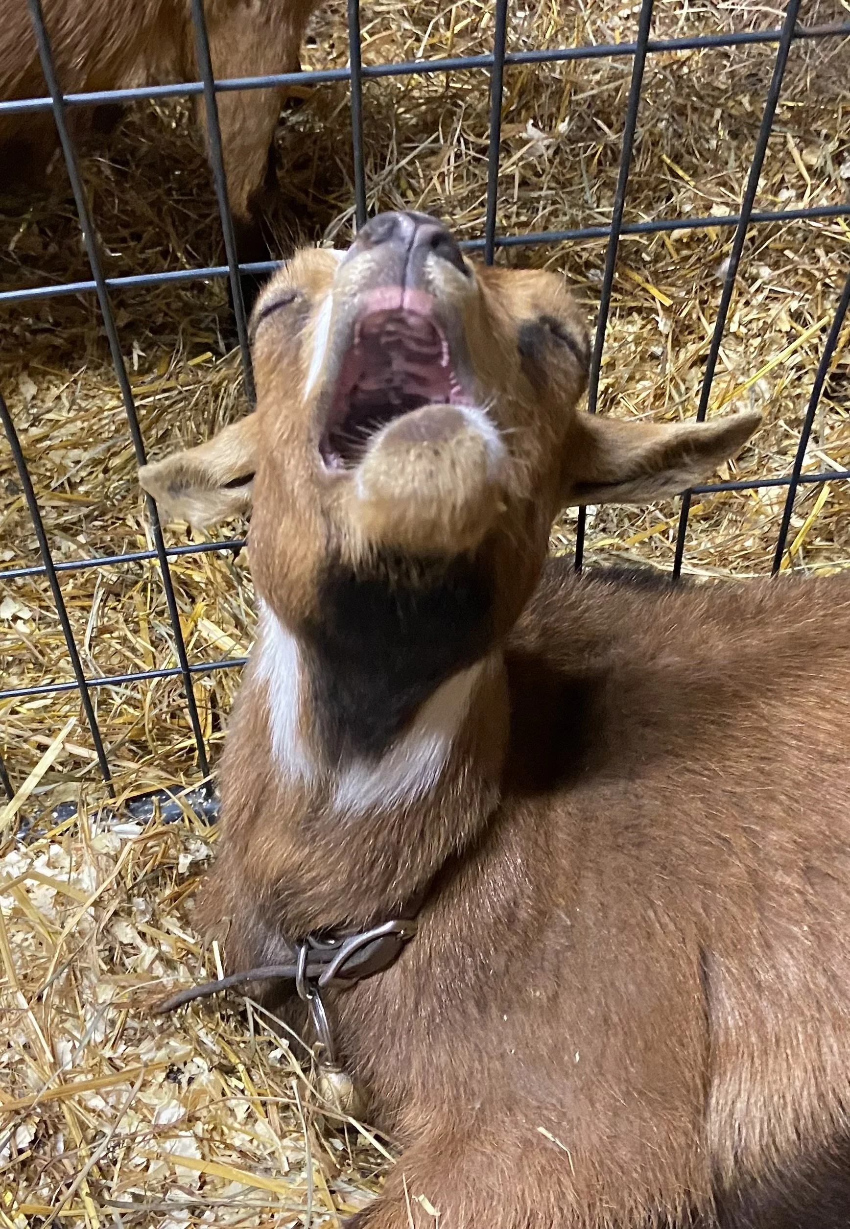 March 7th - During her first ever labor