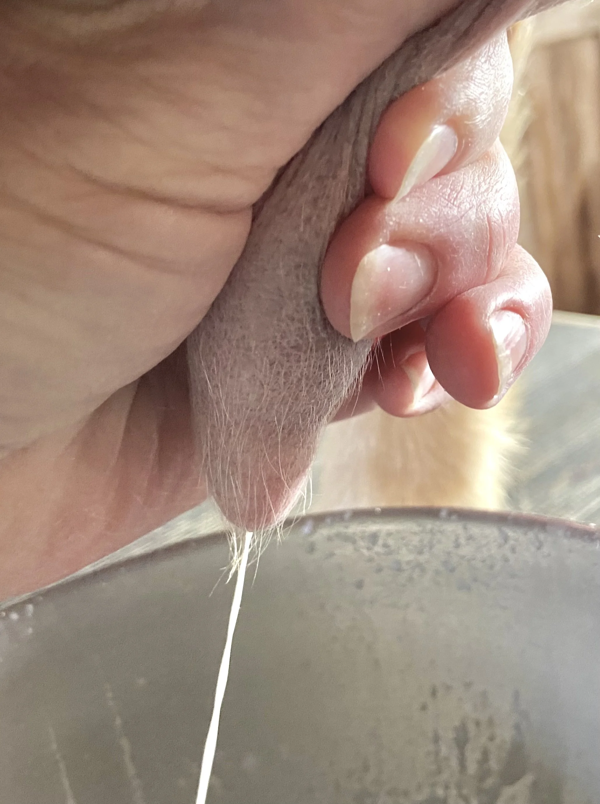 3/2/26 - morning milking