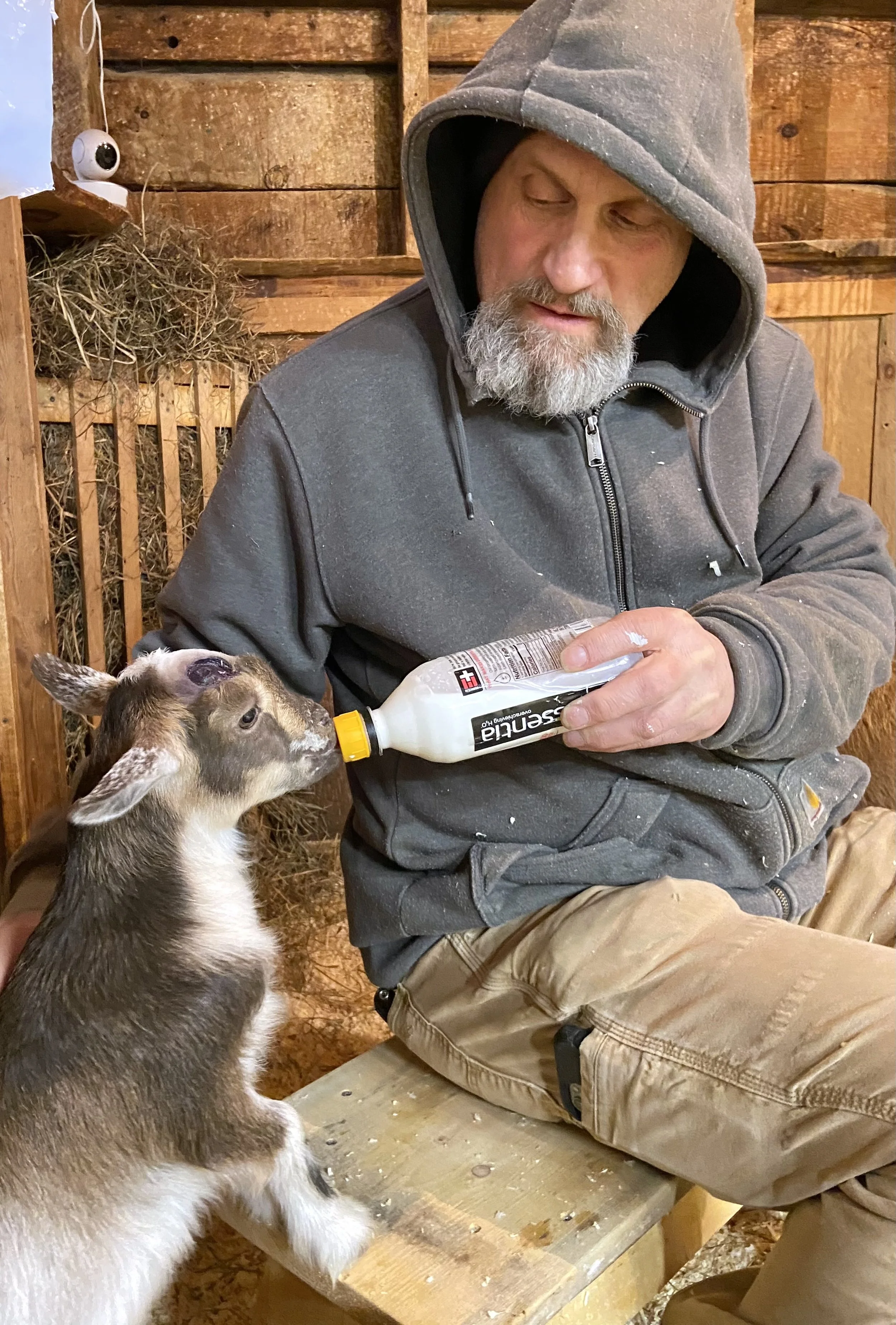 Feb. 27th, 2025 - Wyl bottle feeding ZVanna