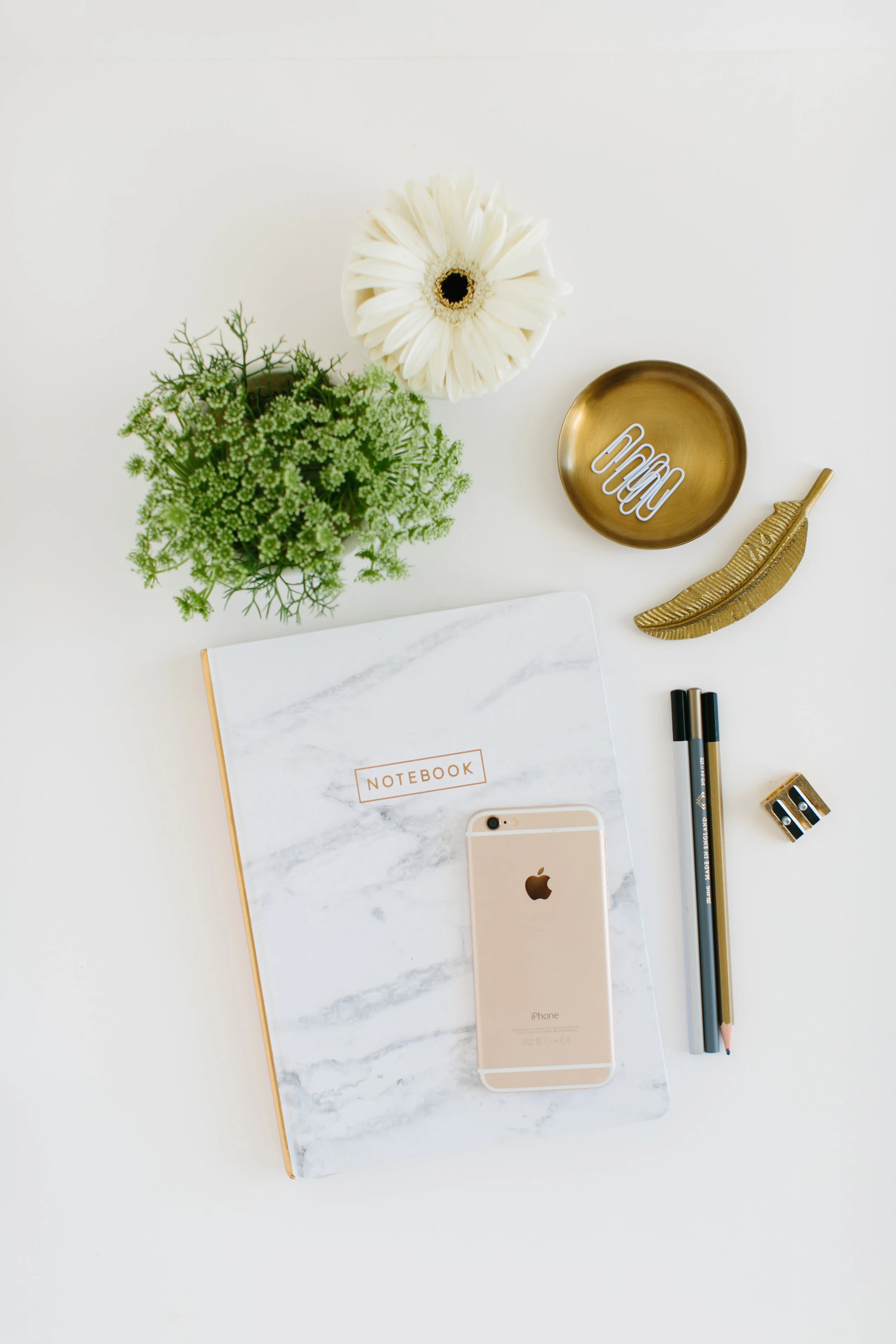 social-curator-07-2019-15.JPG