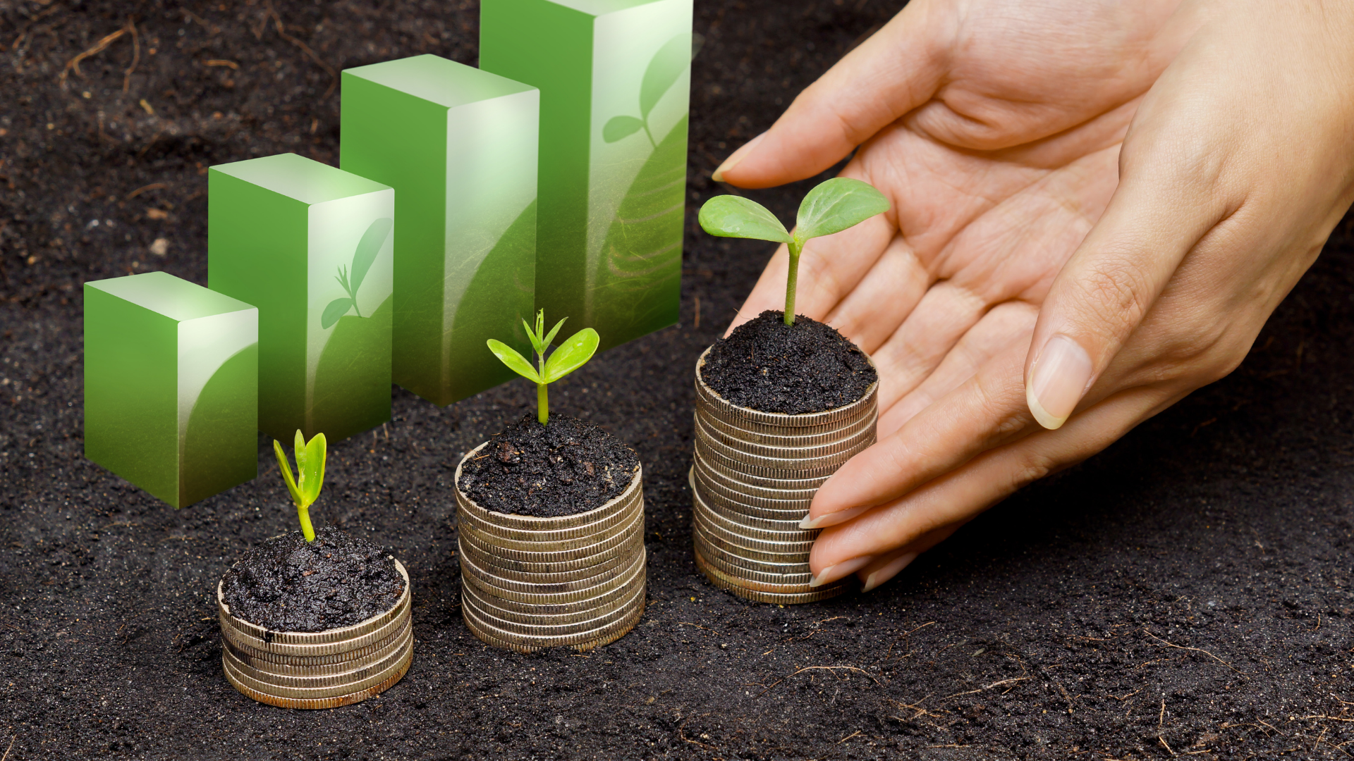 B4th Consulting Image of Flowers Growing no text.png