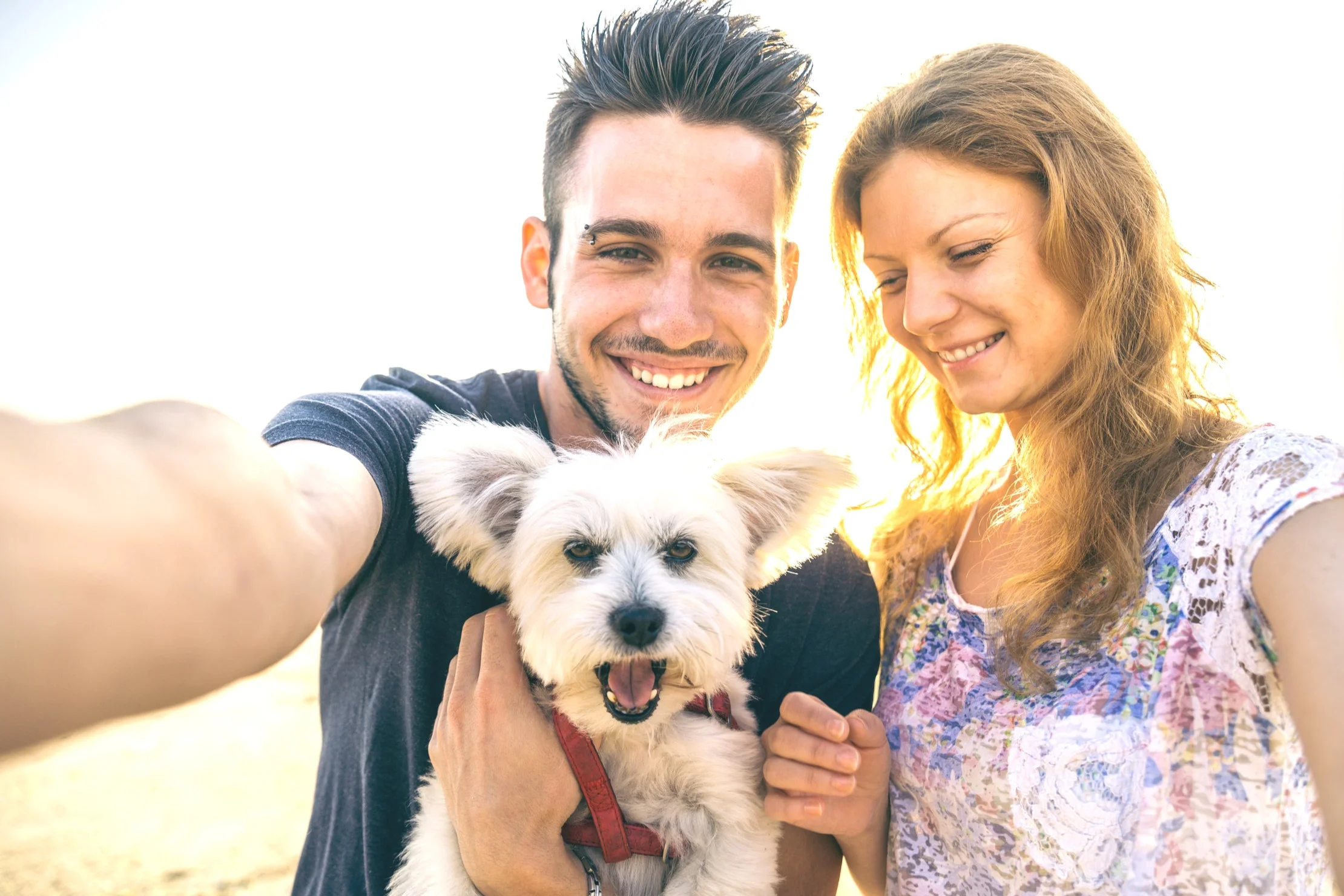 couple+with+poodle+mix.jpg