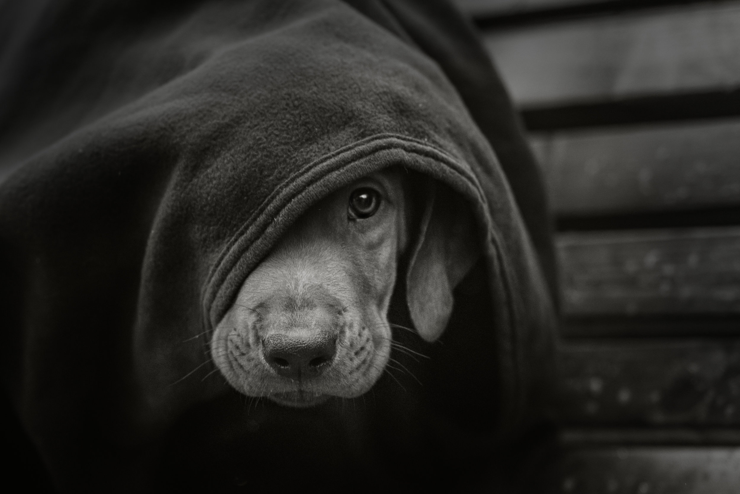 AdobeStock_95139423.jpeg