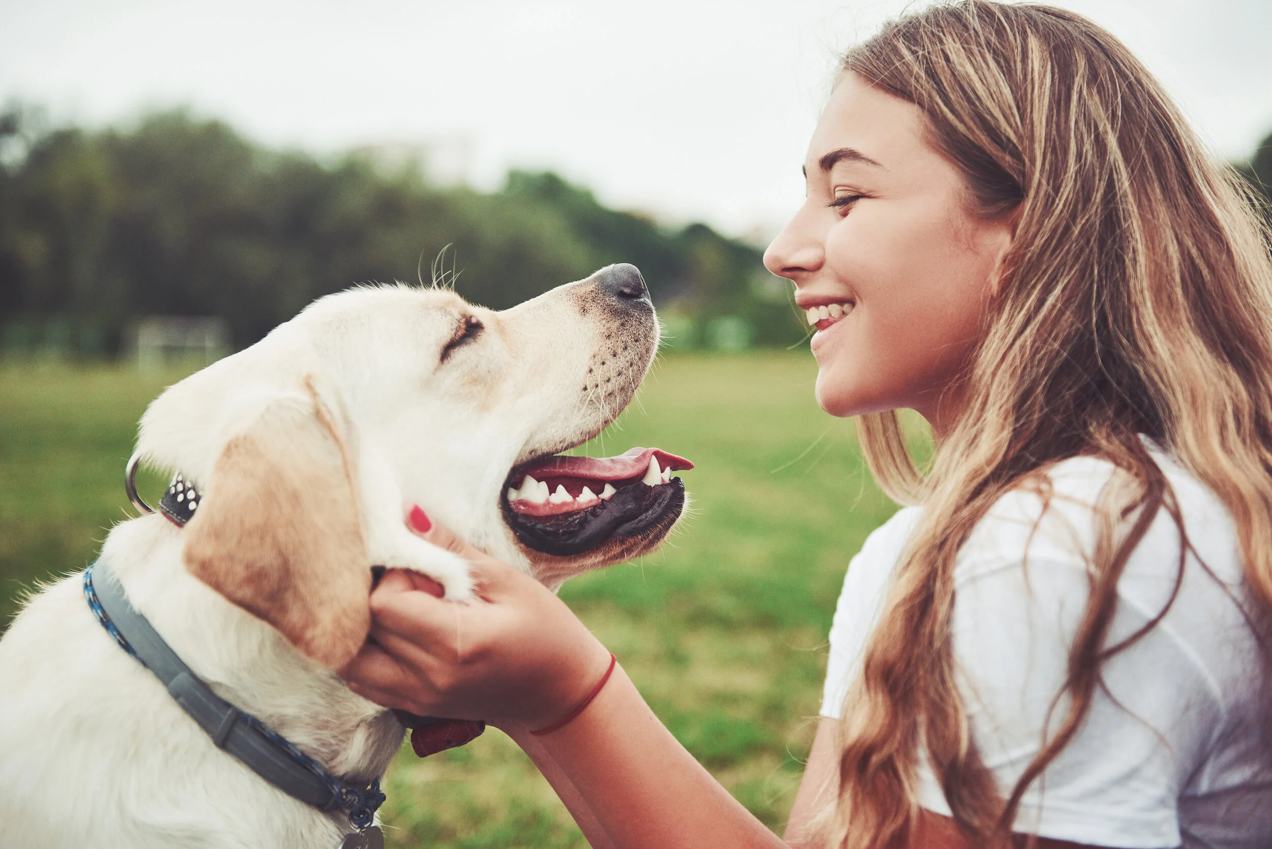 AdobeStock_237757770.jpeg