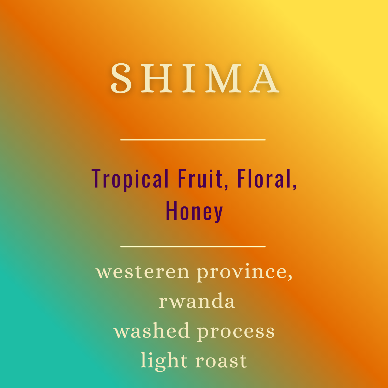 Light Roast Subscription (38).png
