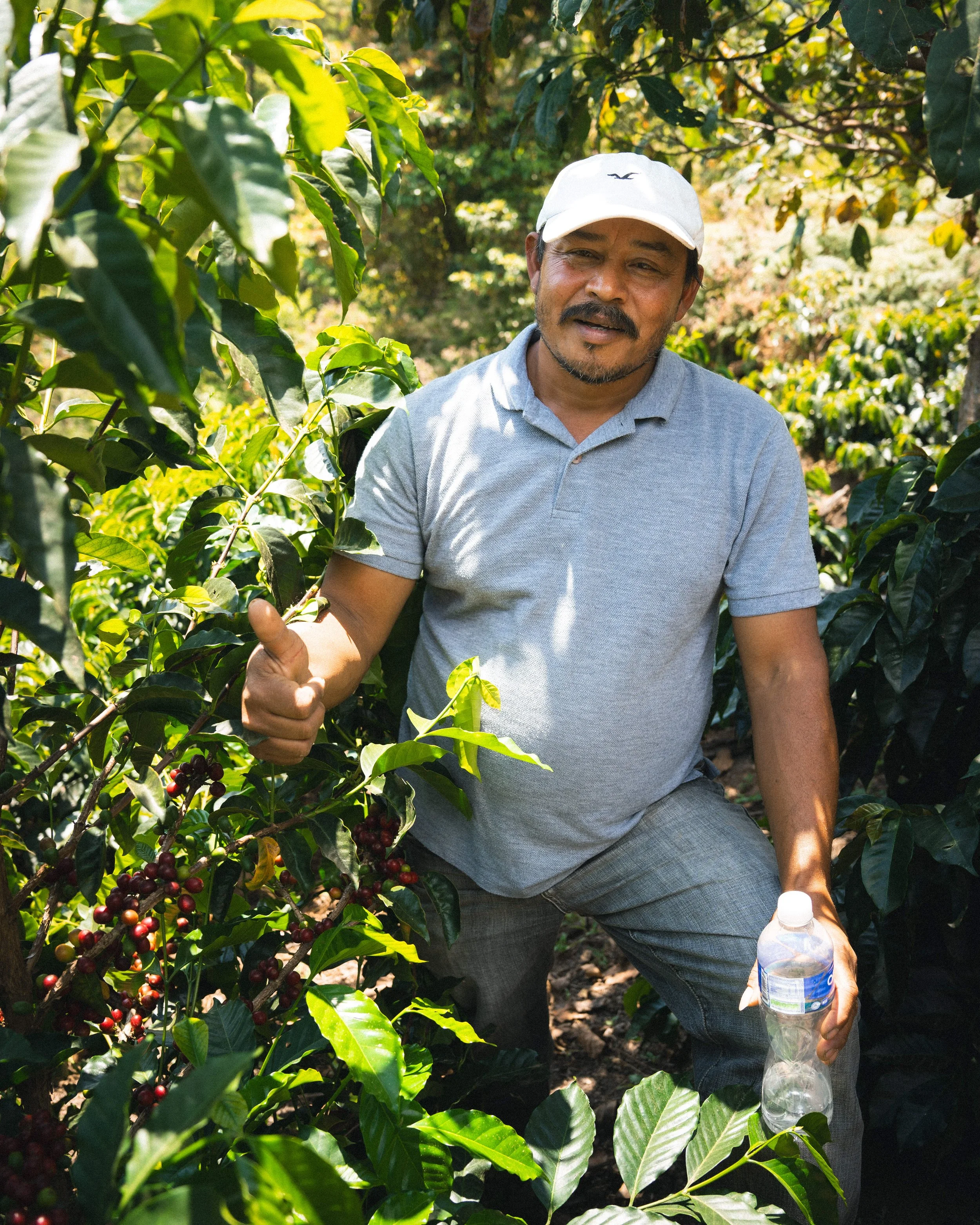 Bridging Tables-068.jpg