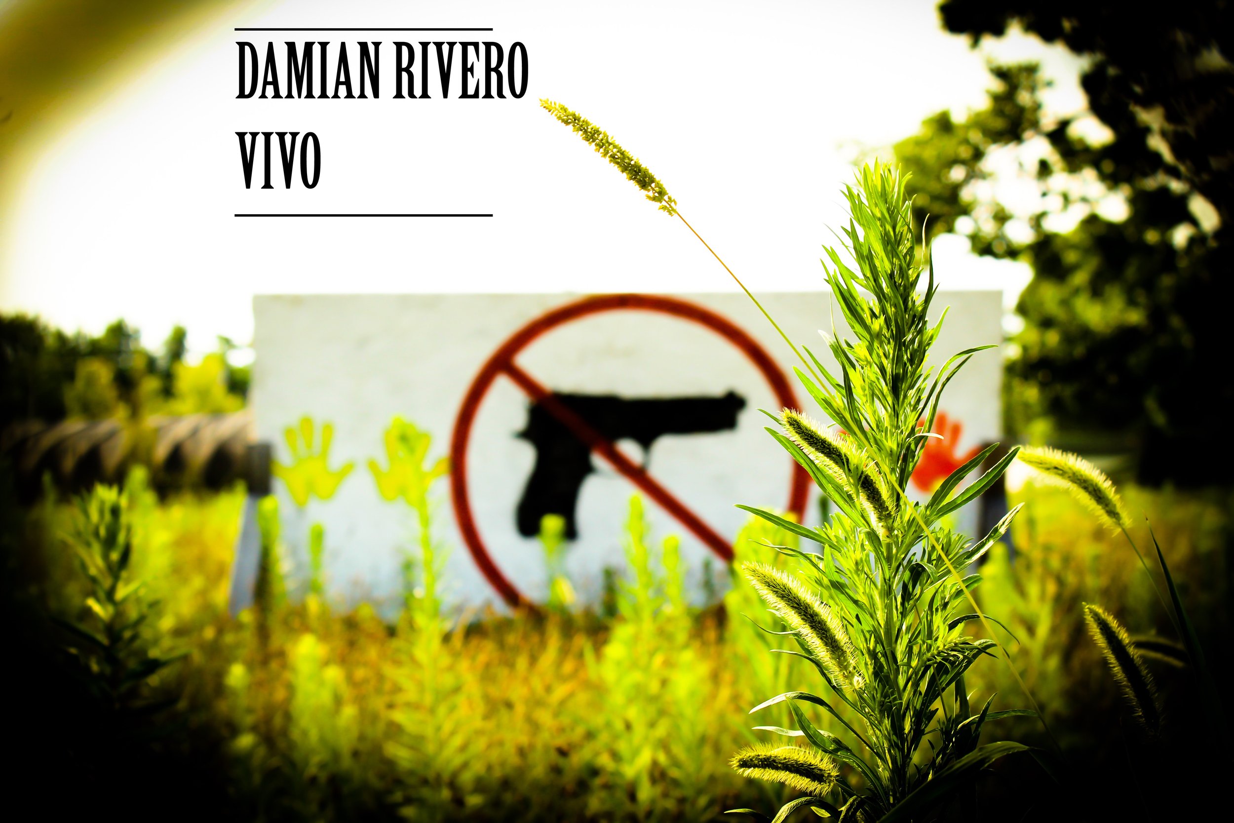 foto tapa album VIVO.JPEG