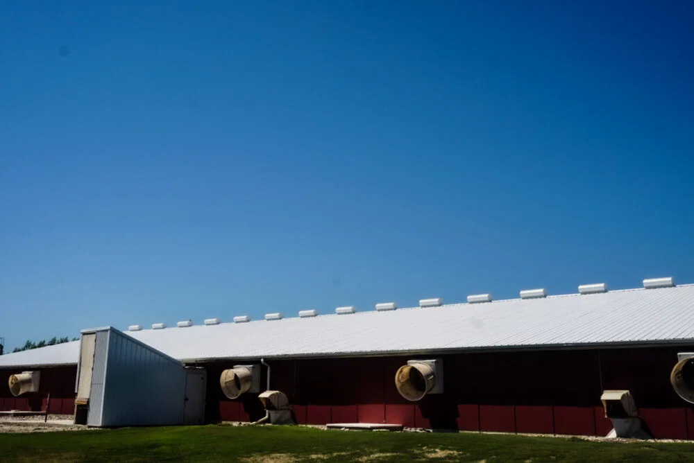 Commercial Roofing by Vision Roofing