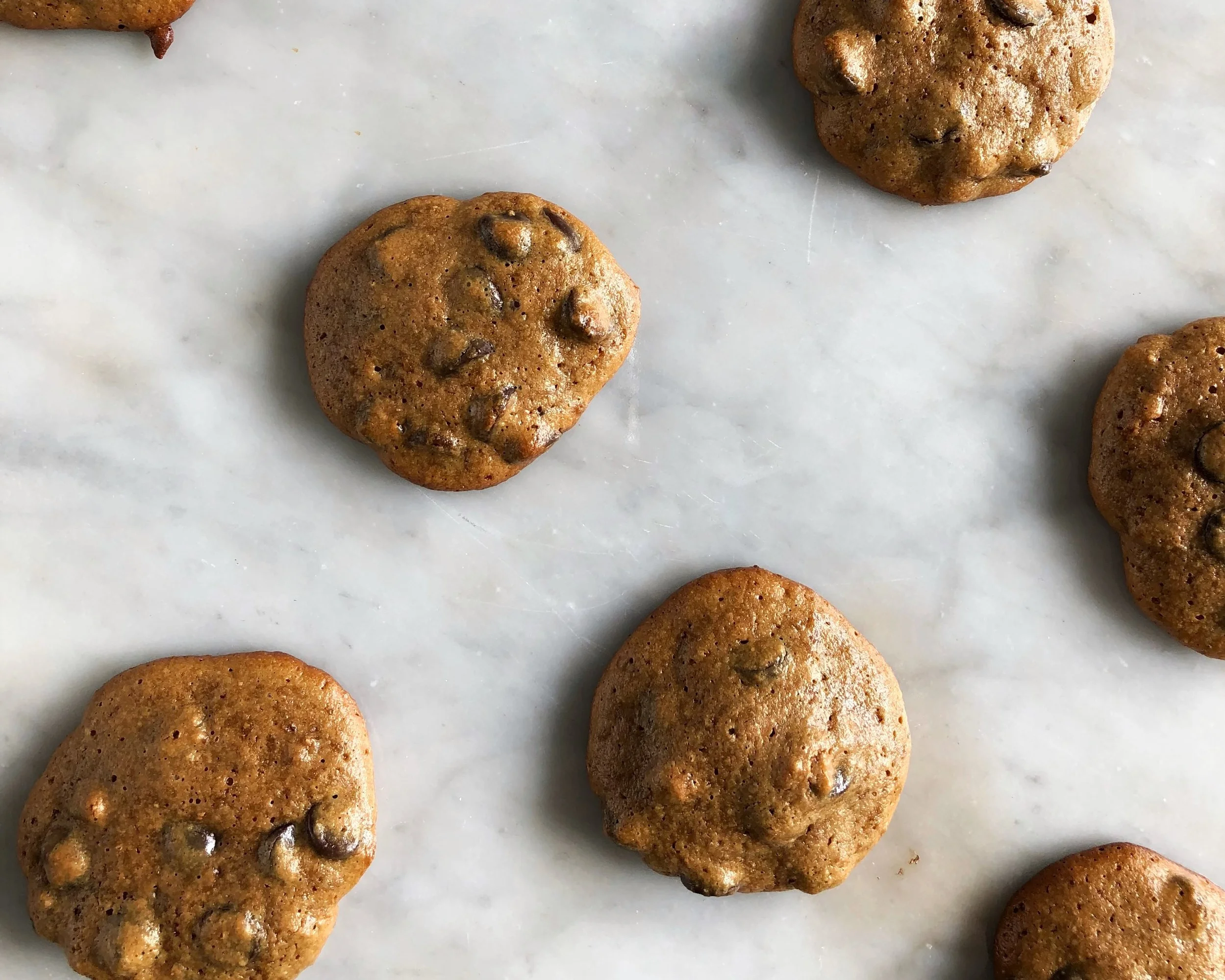 No Mixer 5 Ingredient Paleo Chocolate Chip Cookies