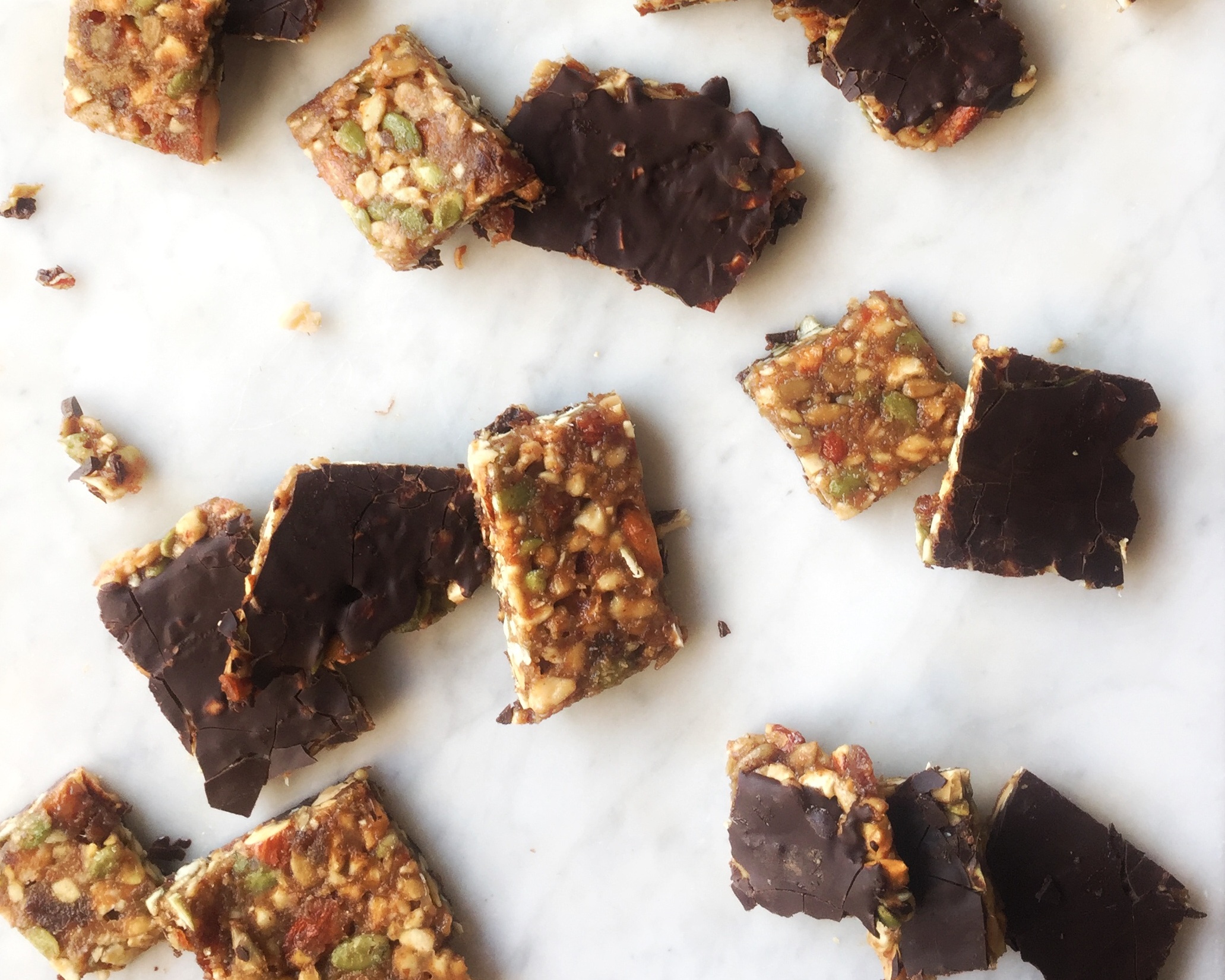 Grain Free (Kosher for Pesach) Granola Bars [Paleo, Vegan, Gluten Free]