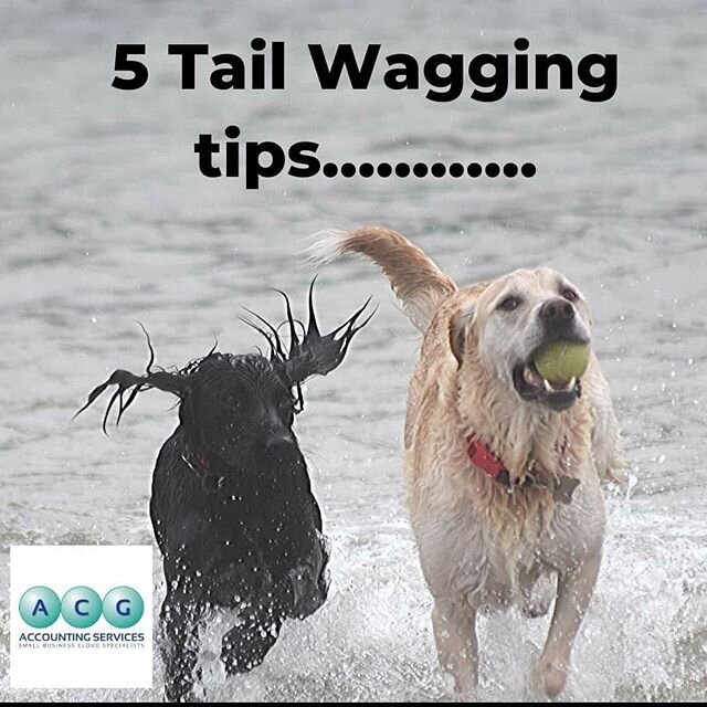 👍5 TAIL WAGGING TIPS &ndash; TO GET STUFF DONE!👍 If the January gloom has well and truly set in and you are feeling all lethargic and business is a bind we are here to provide a little pick me up &ndash; and NO, Max, we are not talking a caffeine b