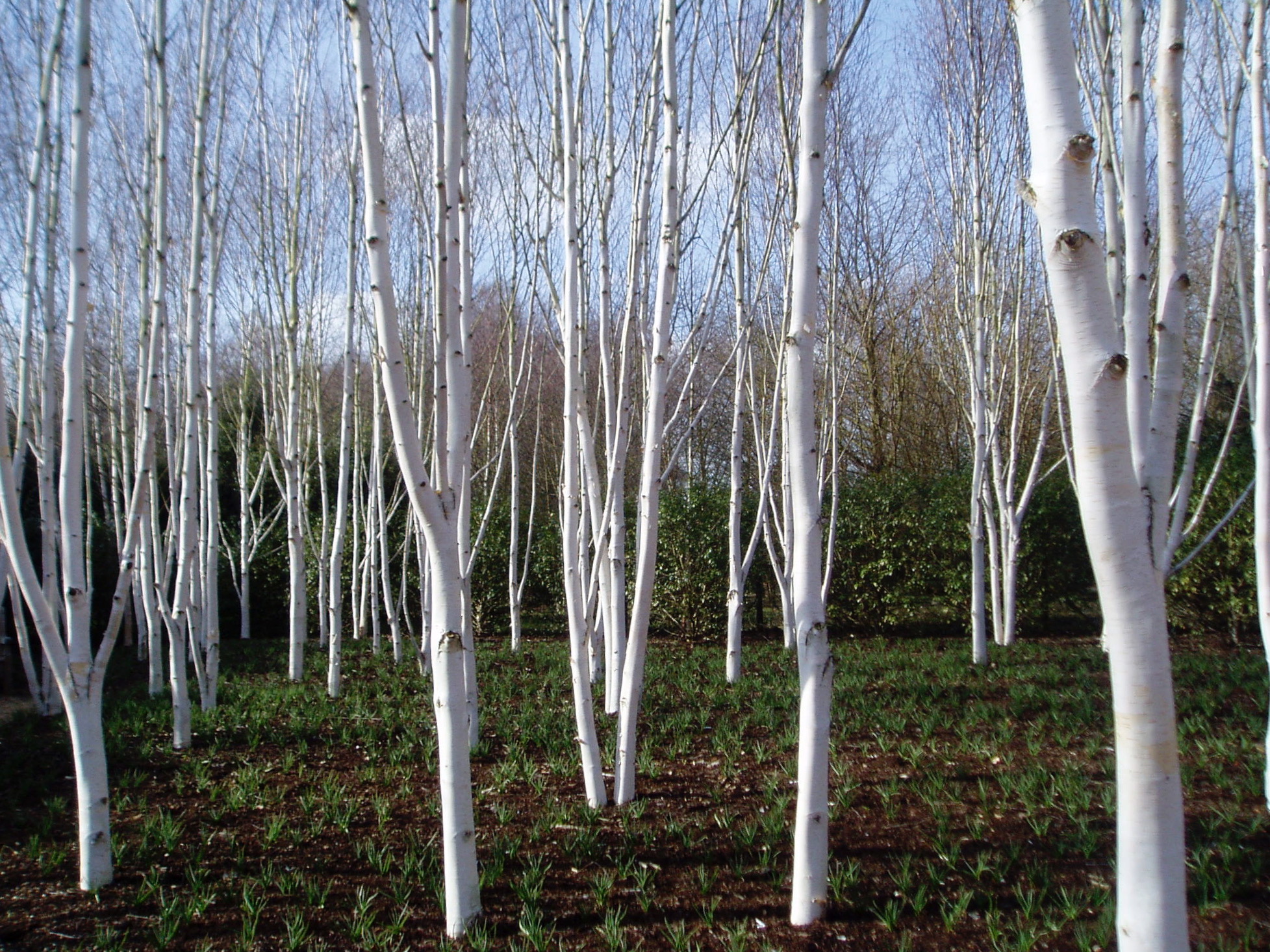 Anglesey Abbey.jpg