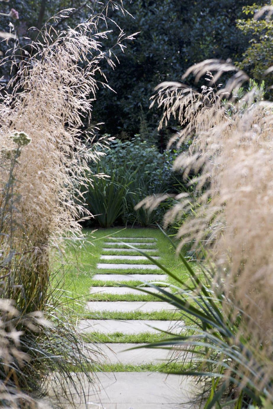 Lawn and borders d30 .jpg