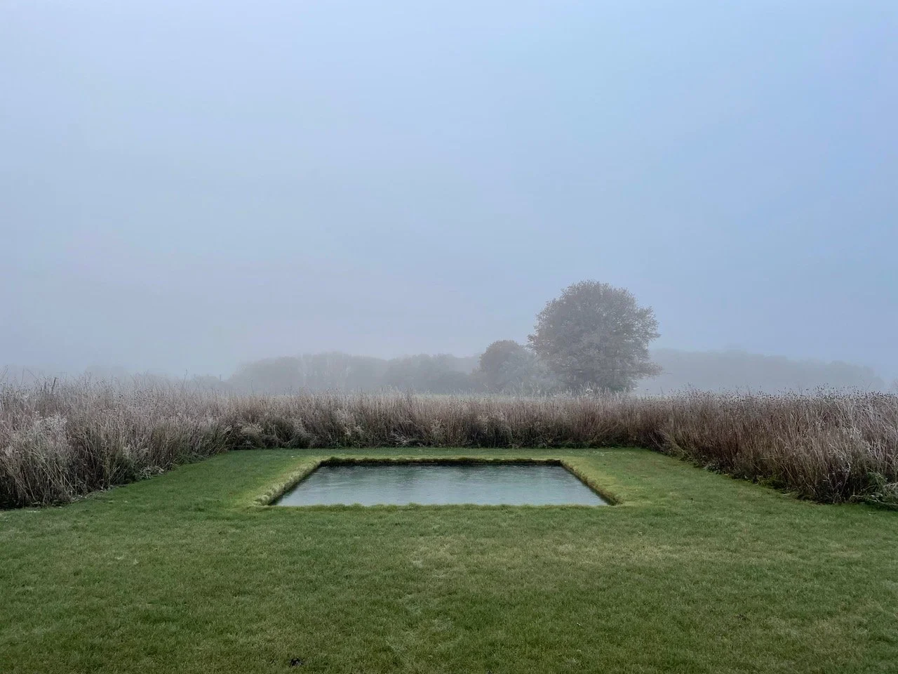 Jankes Barn garden in winter