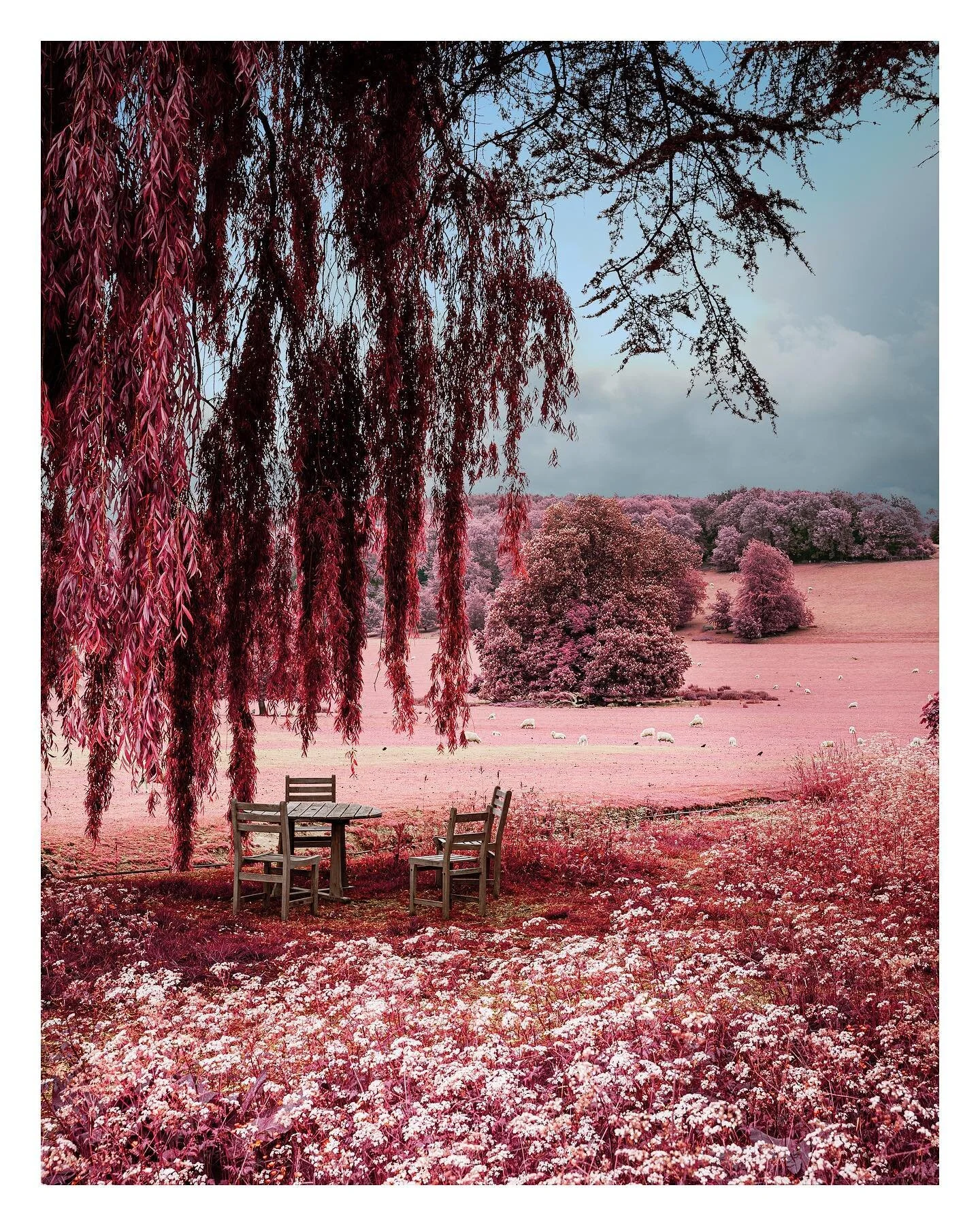 Infrared Landscape - My attempt to create an Infrared look digitally. Infrared film was just to alter the colour-scape of a scene, most notably it turns green a pink colour. 

This process has been used to capture stunning images, may favorites are t