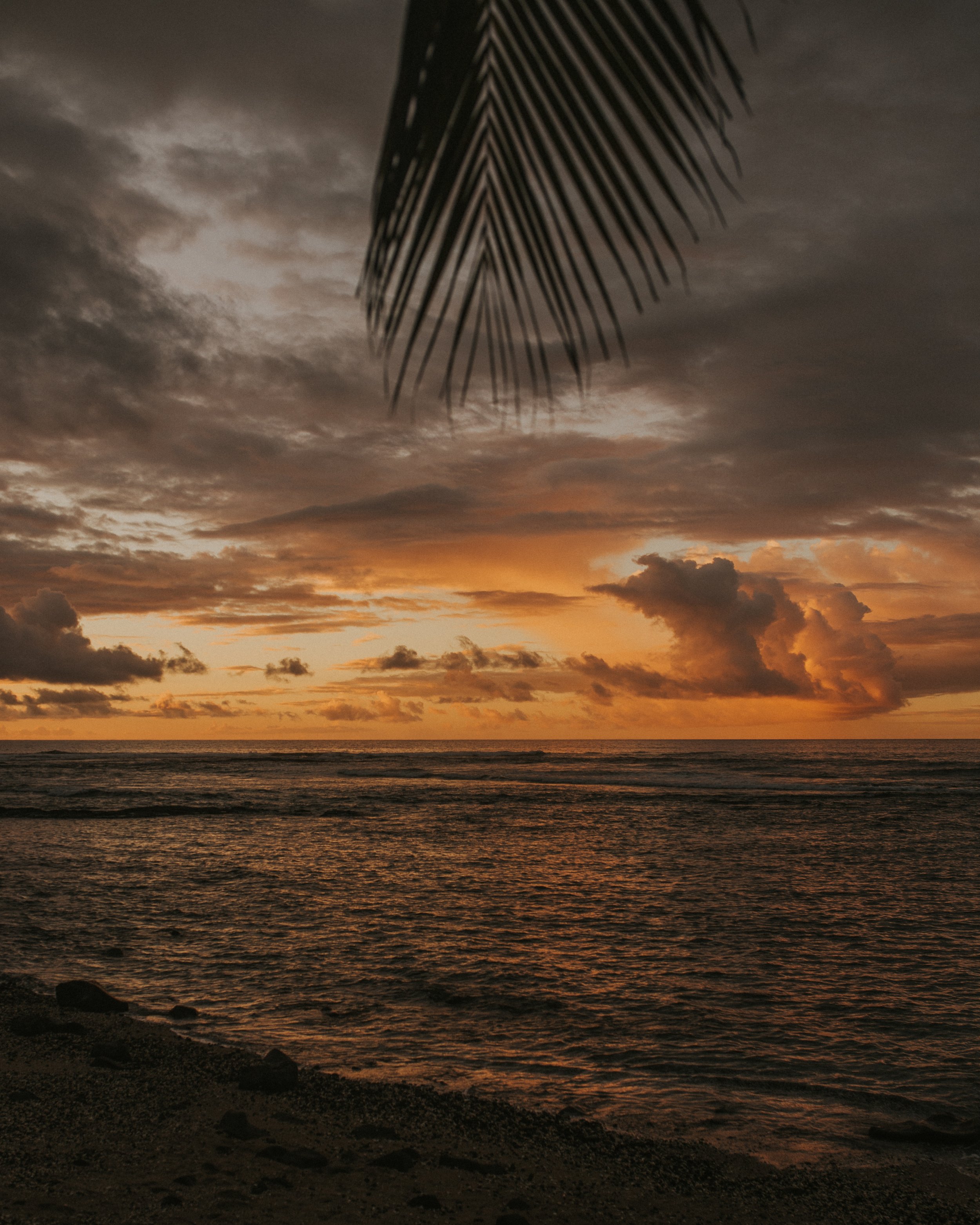 _MG_3690.jpg