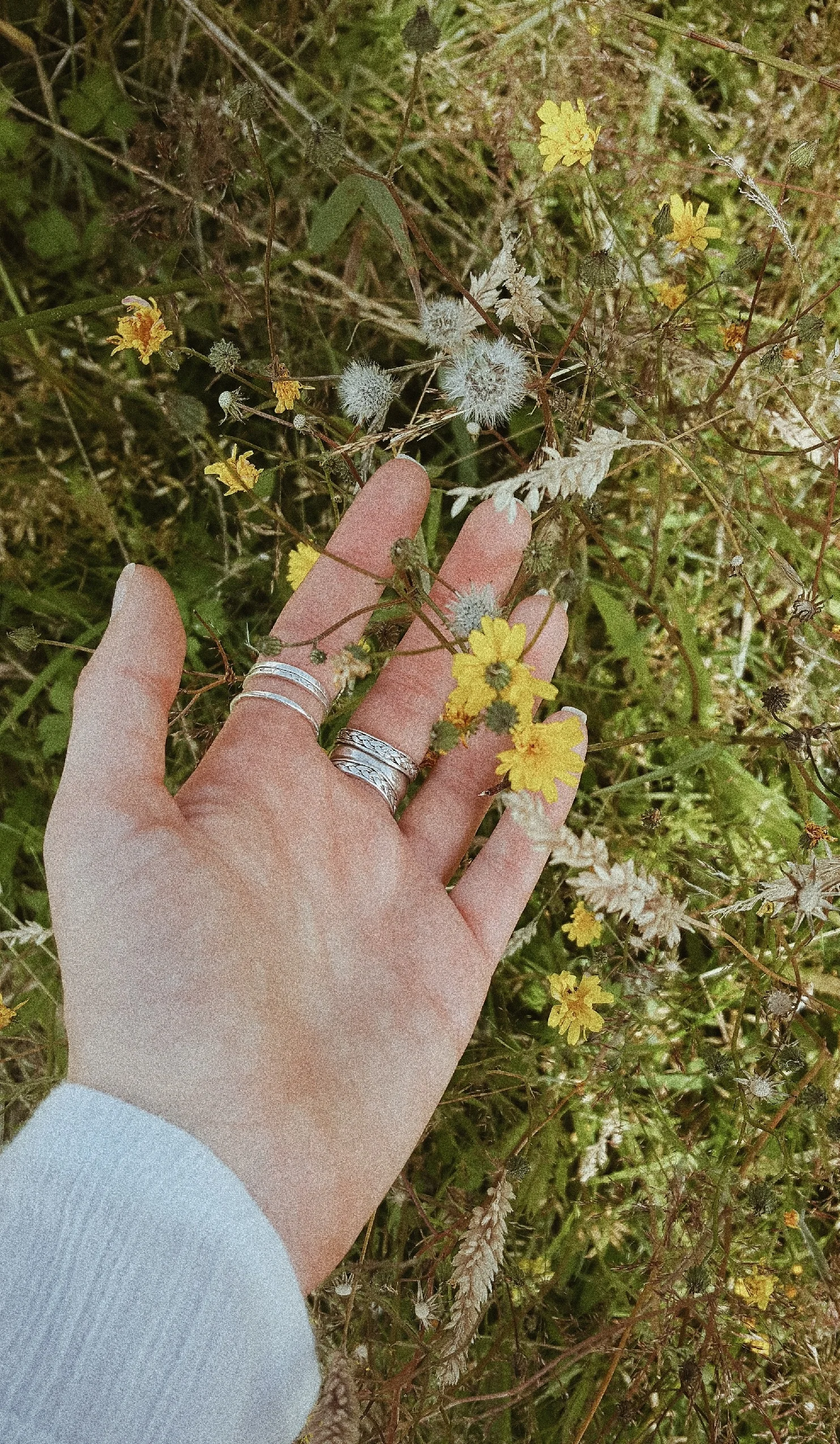 2019-07-28_03.20.58_1_resize_85%5B1%5D.jpg