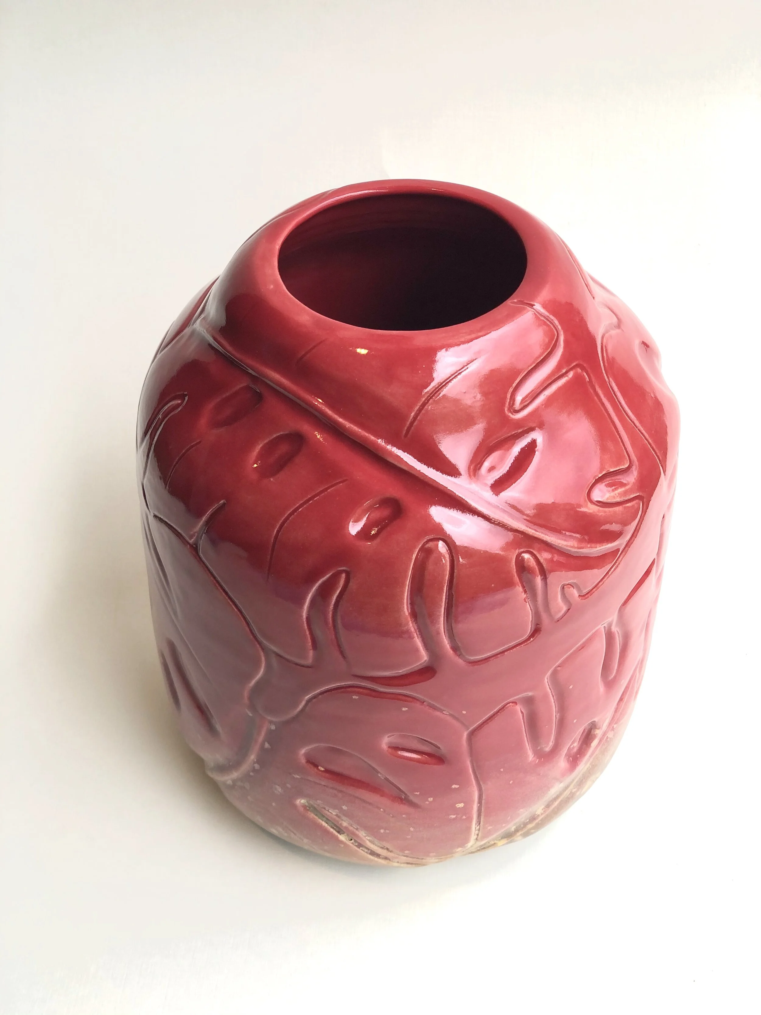 D32A8FC2-B4AC-43F3-9EB5-64AAB4FEA9D0