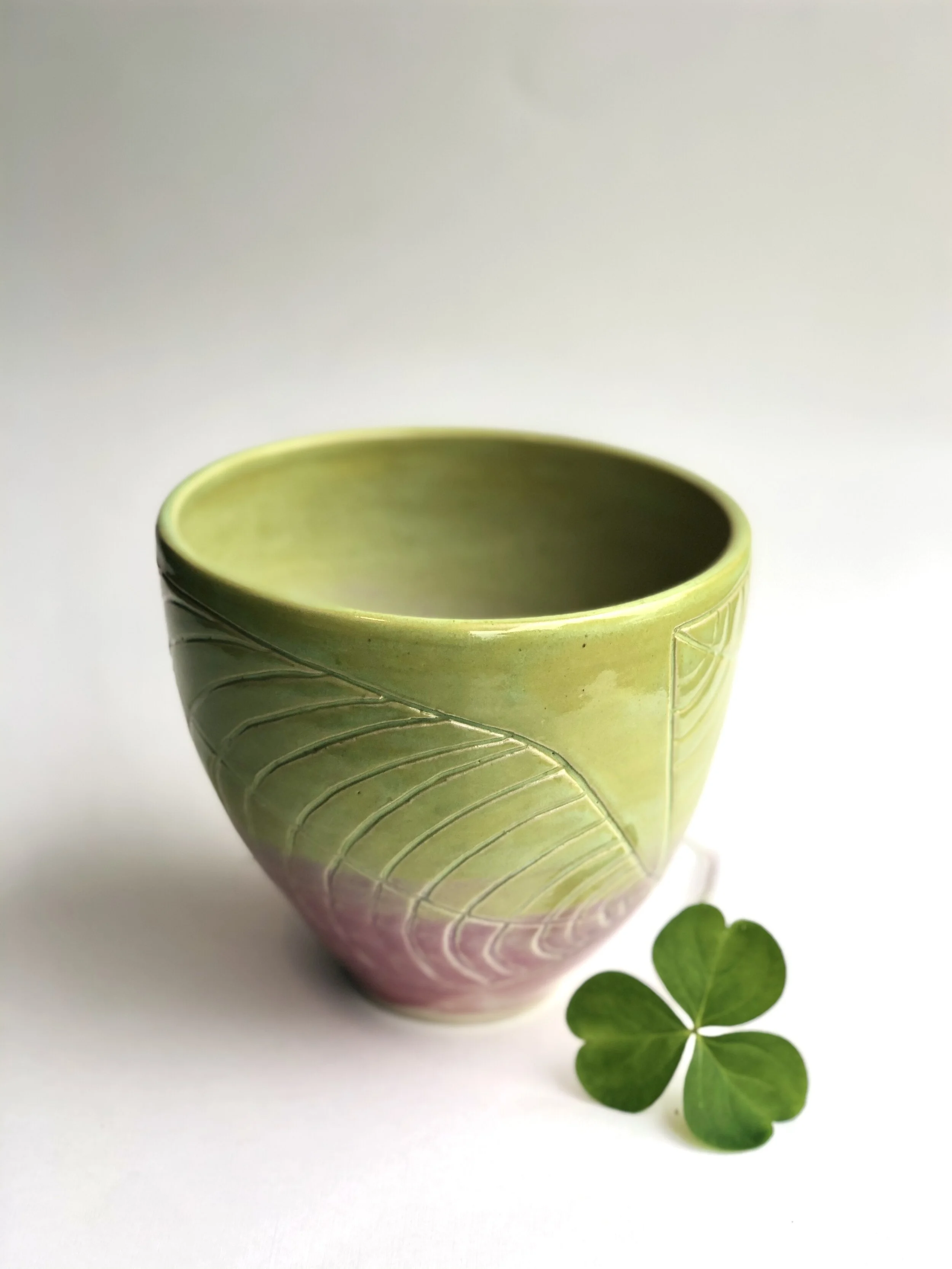 D468C76E-0CF2-4D8E-A7E6-B92CDAD4478A