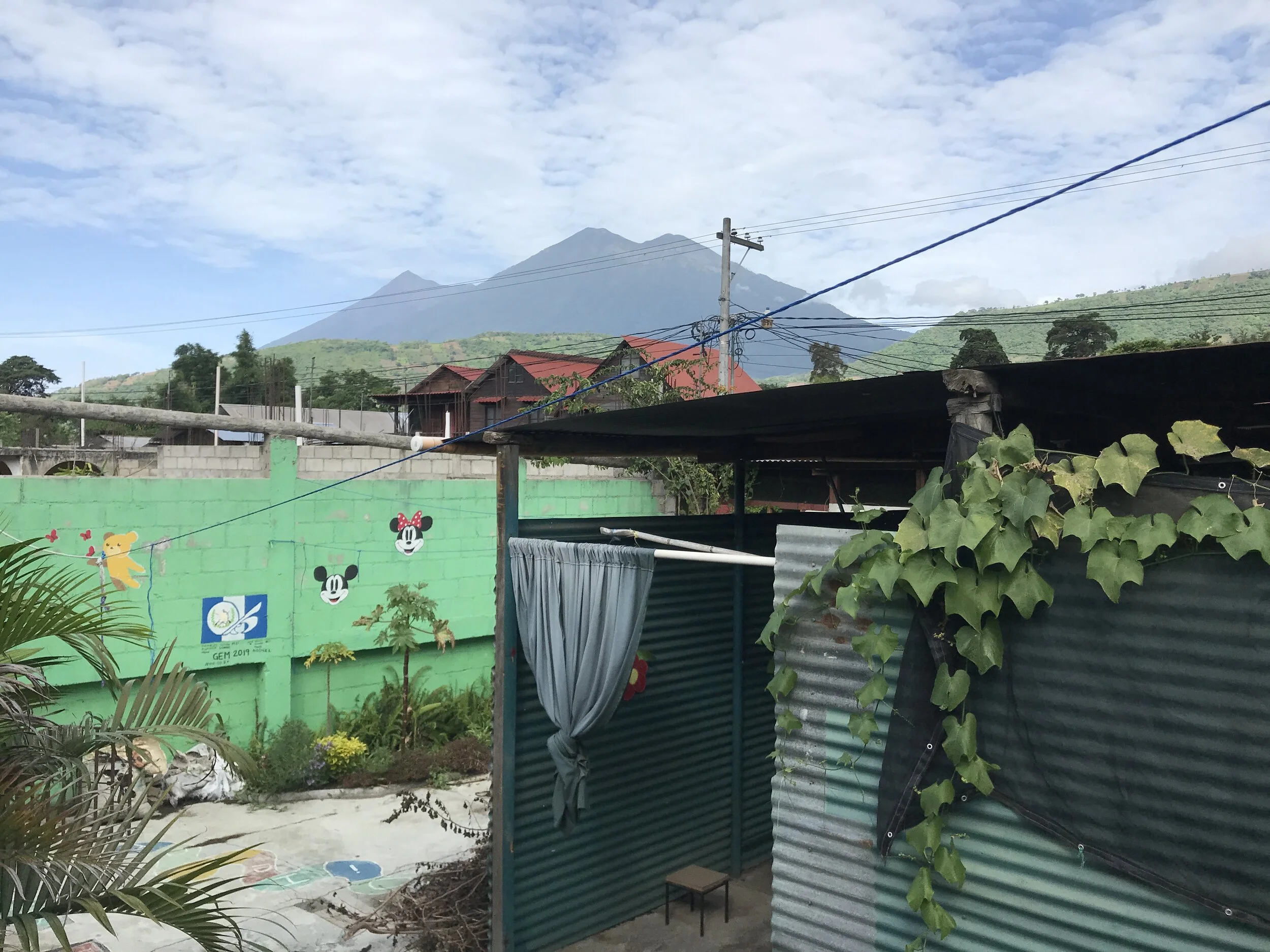 Update from the field with Alex Eaton