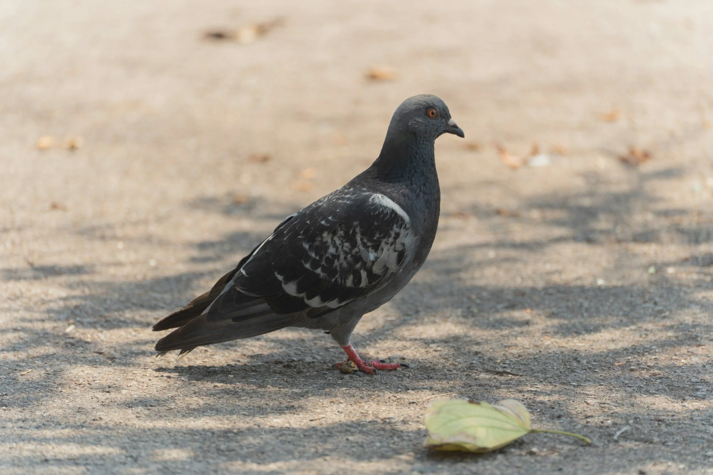 A moment of connection