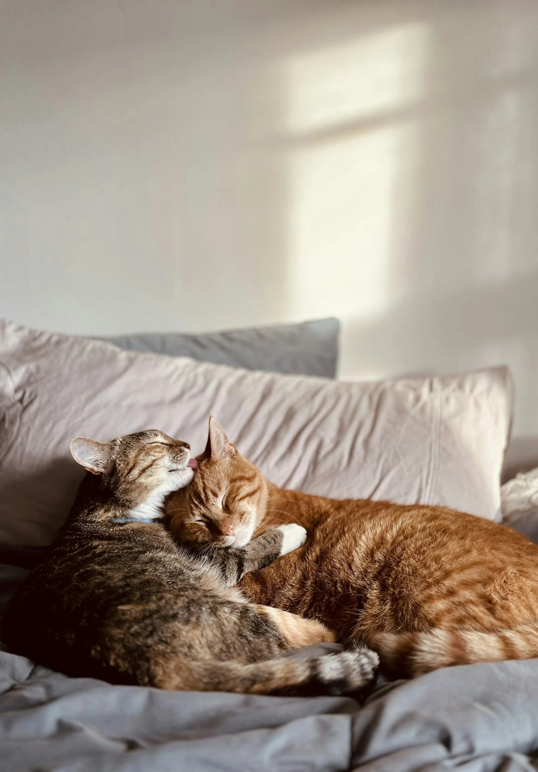 Being held