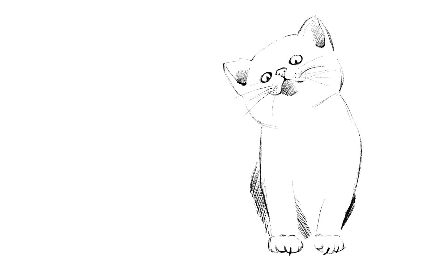 CAT [2].jpg