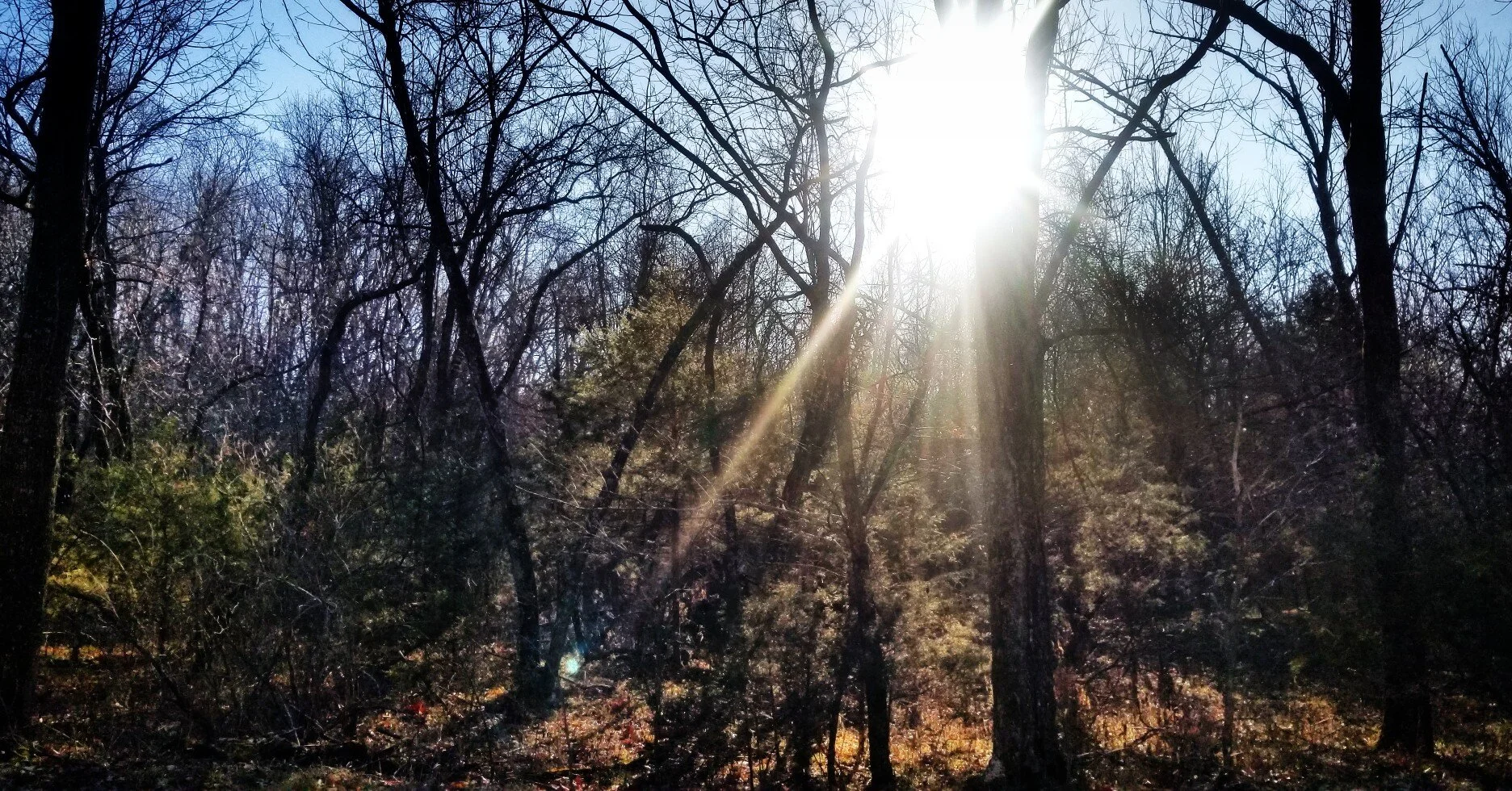 The Brilliance of His Presence