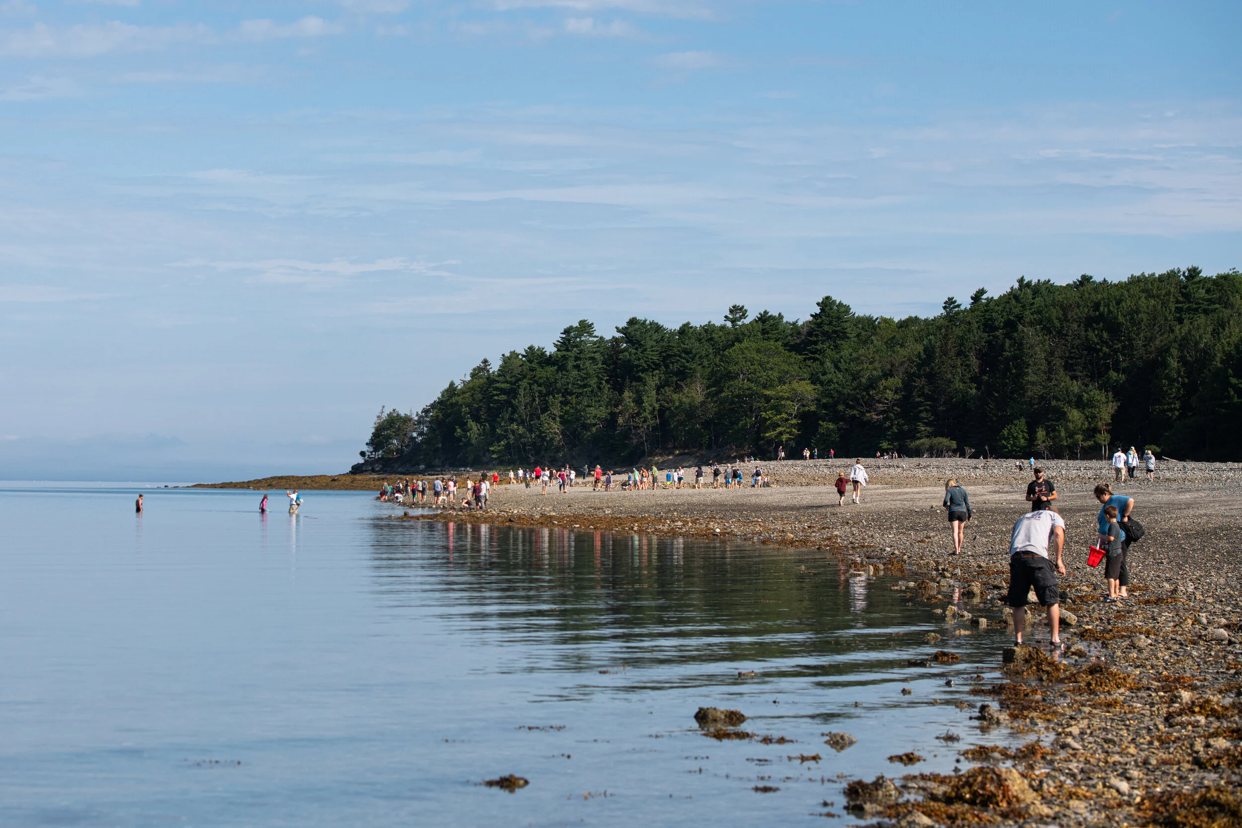 Maine-15.jpg