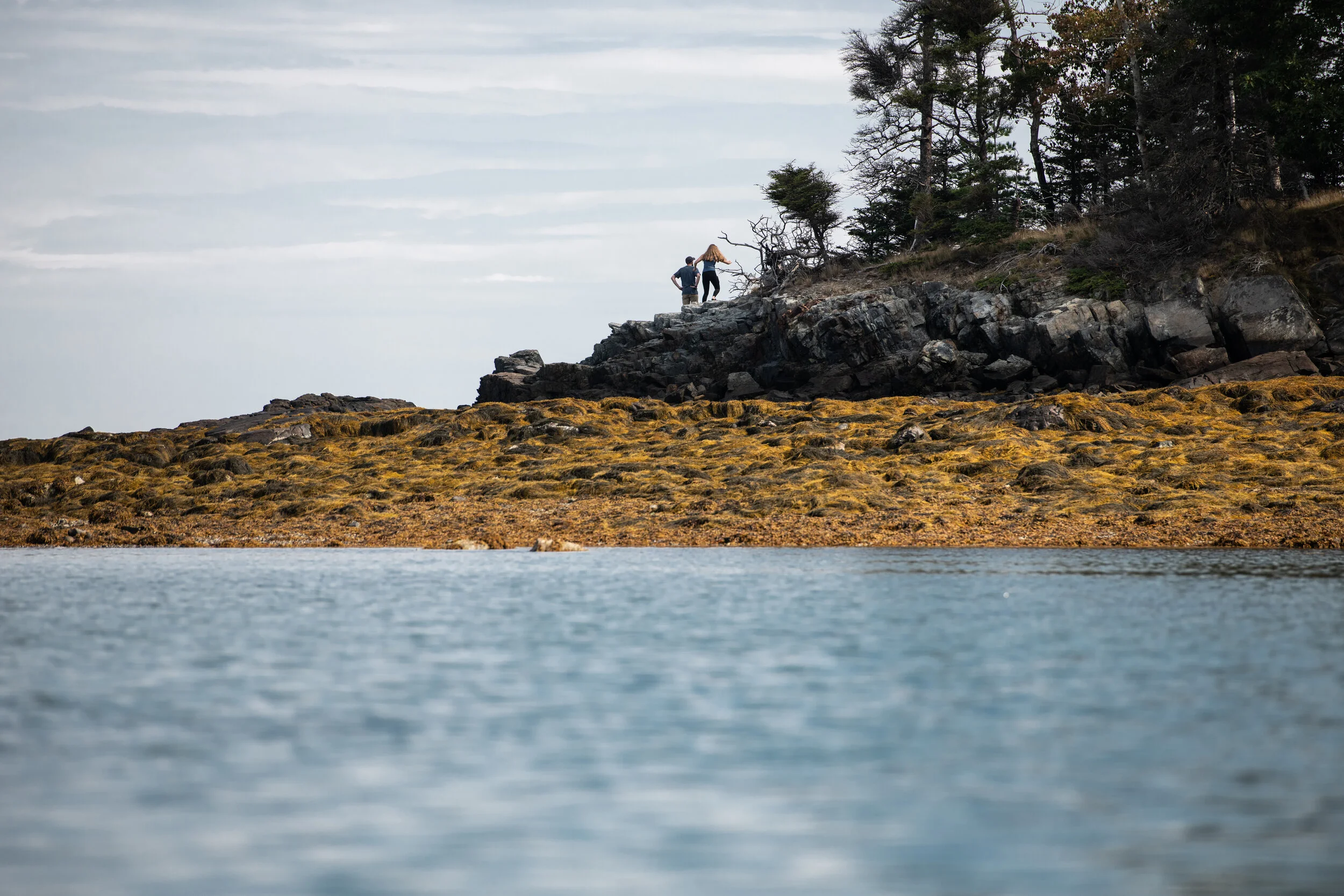 Maine-13.jpg
