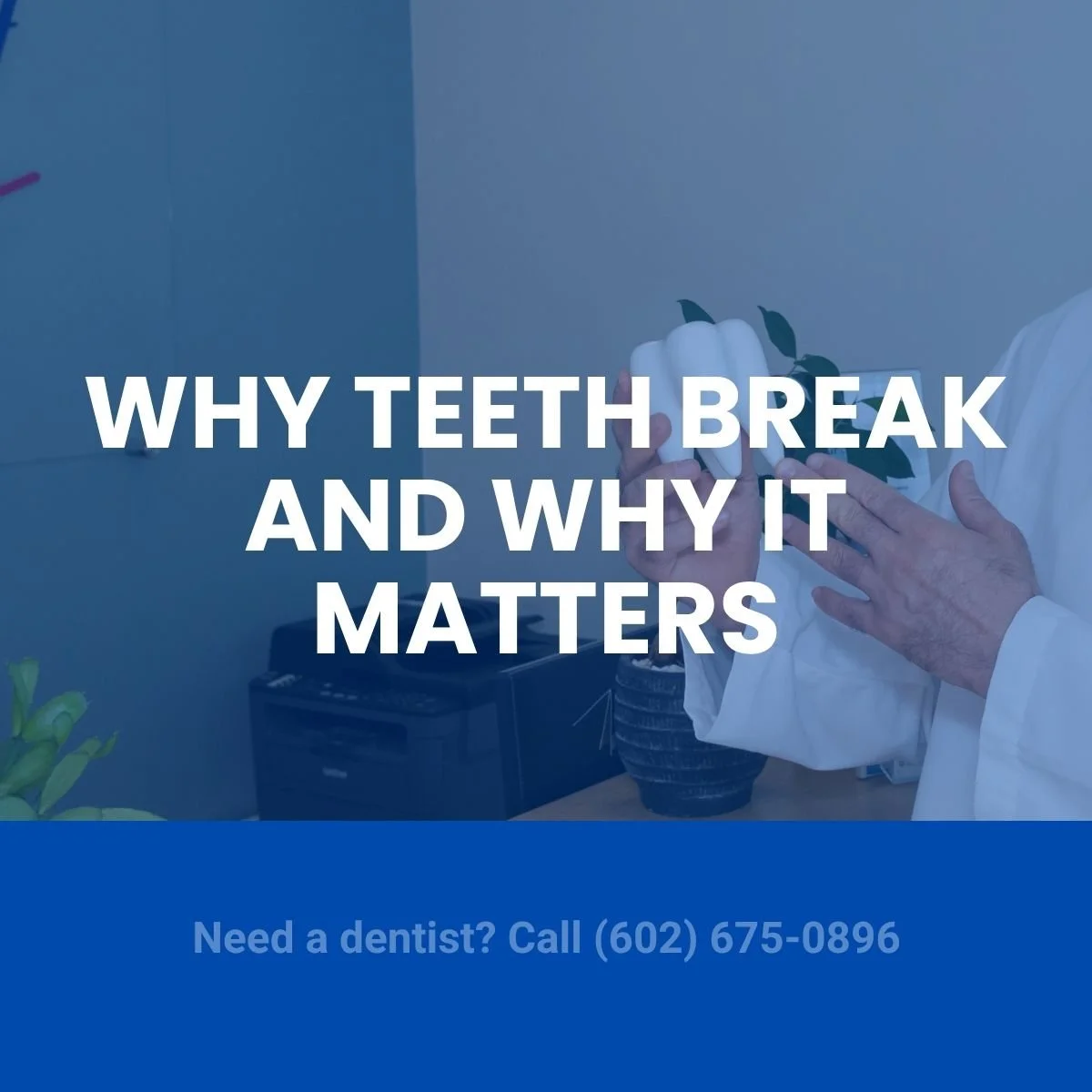 Why teeth break and why it matters