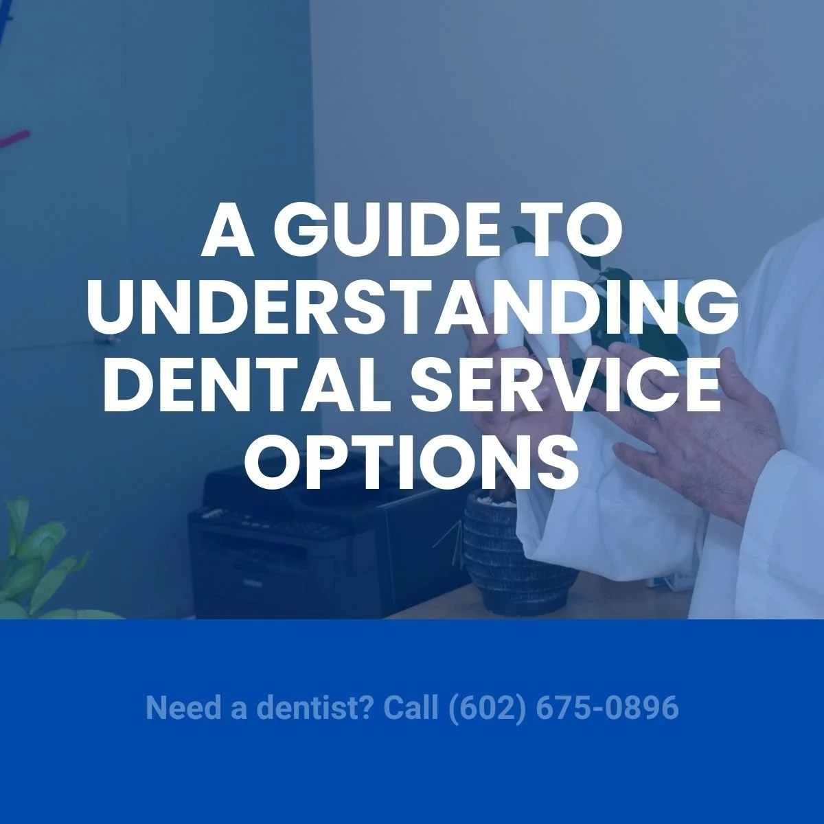 A Guide to Understanding Dental Service Options